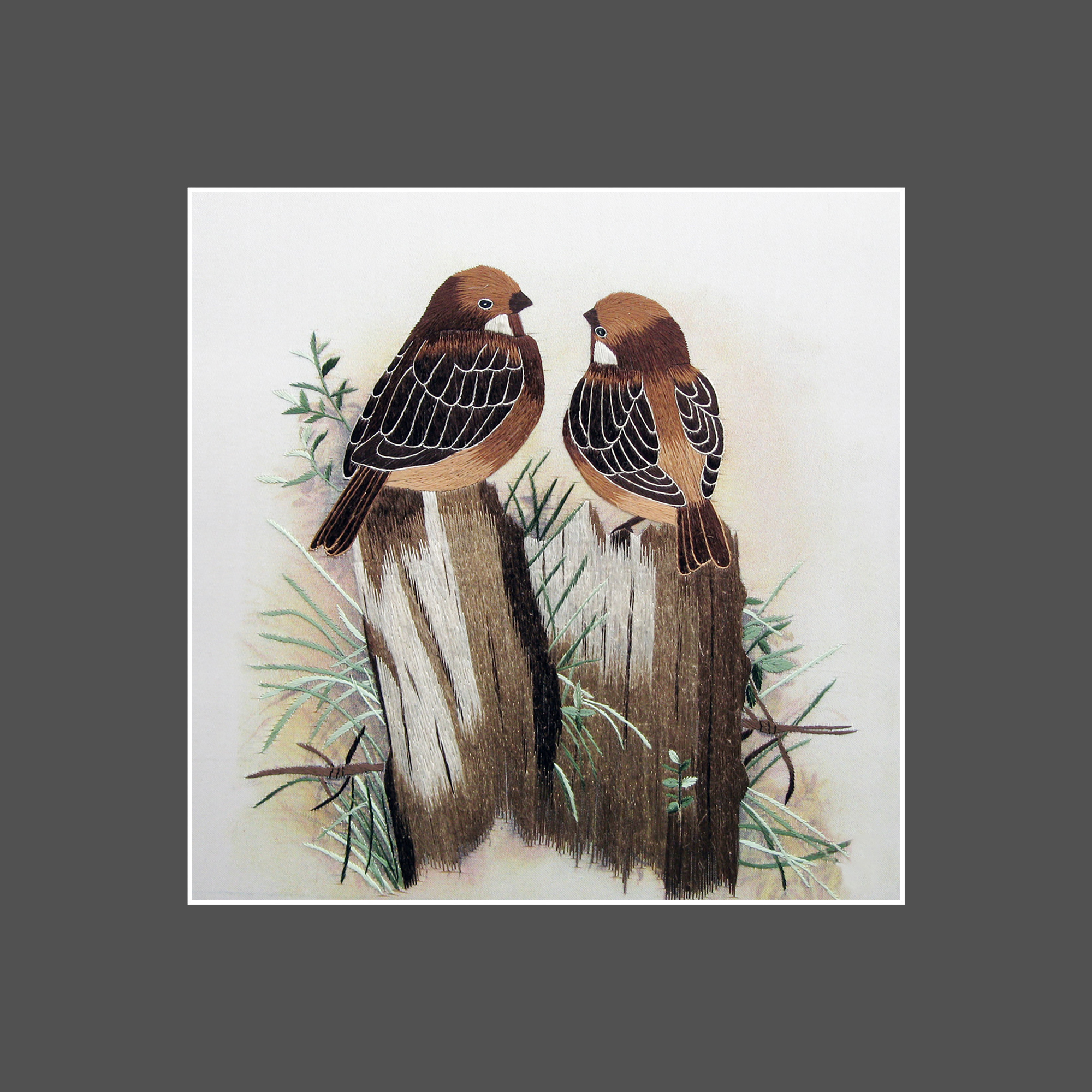 31048 Finch birds - Image 3