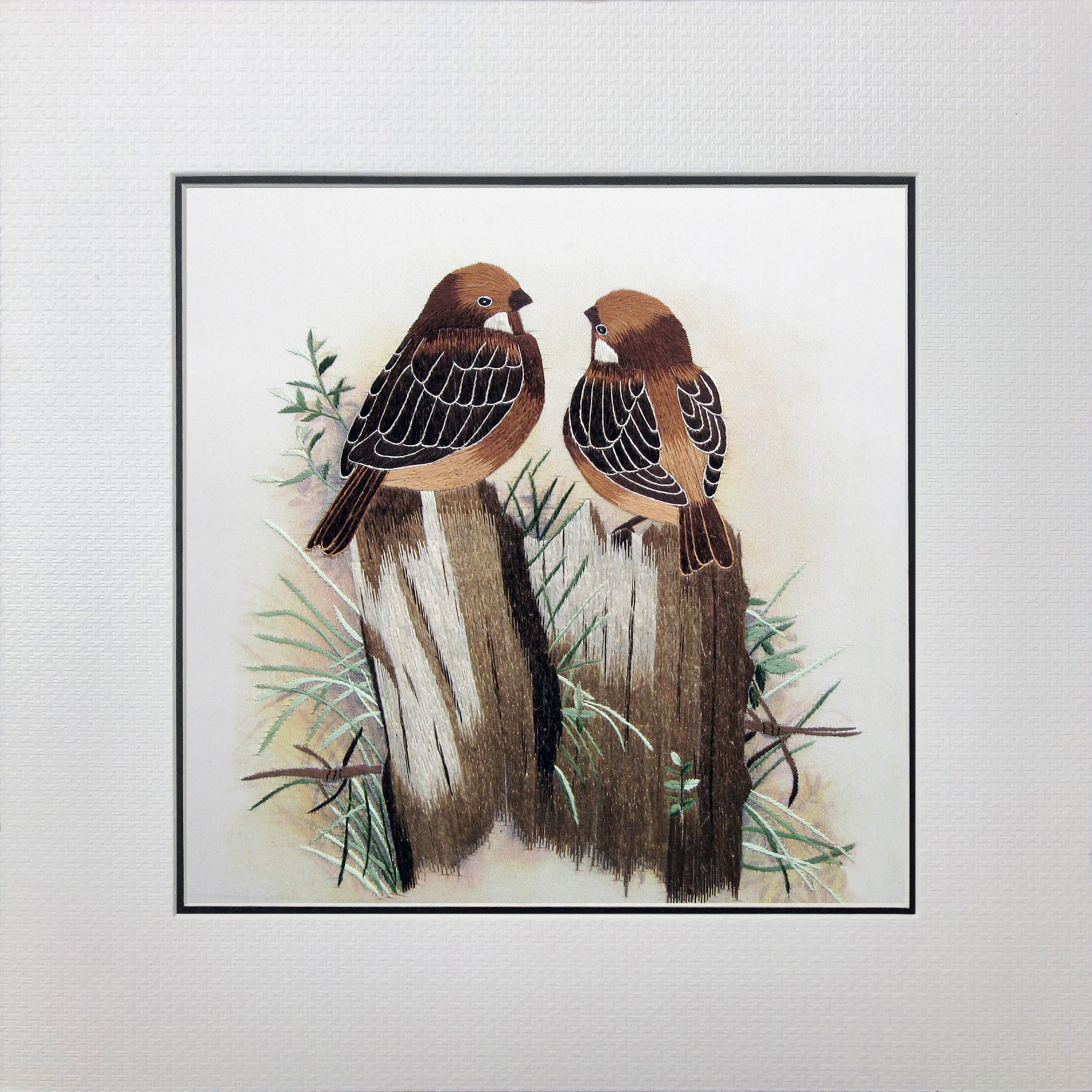 31048 Finch birds - Image 2