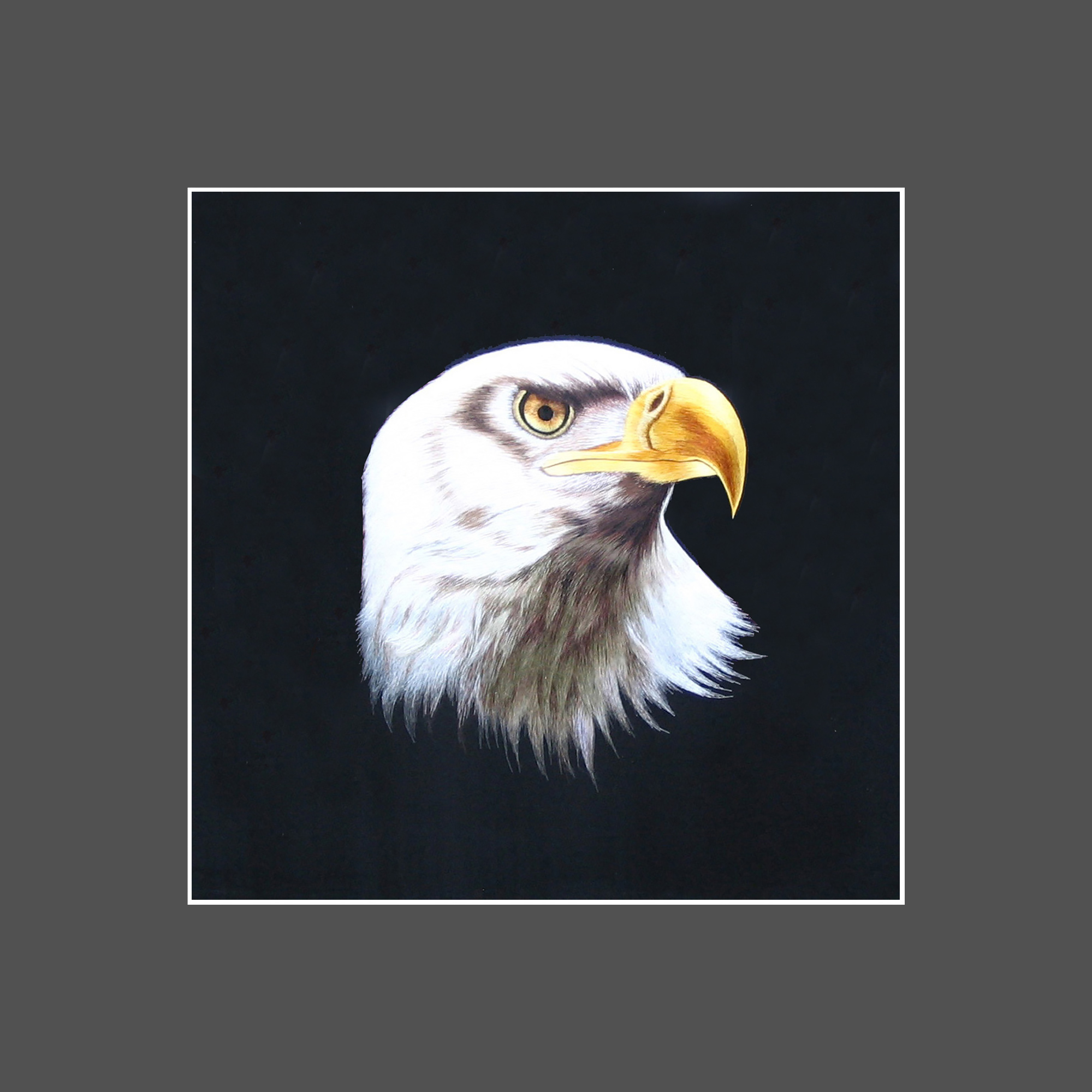 31095 Eagle - Image 3
