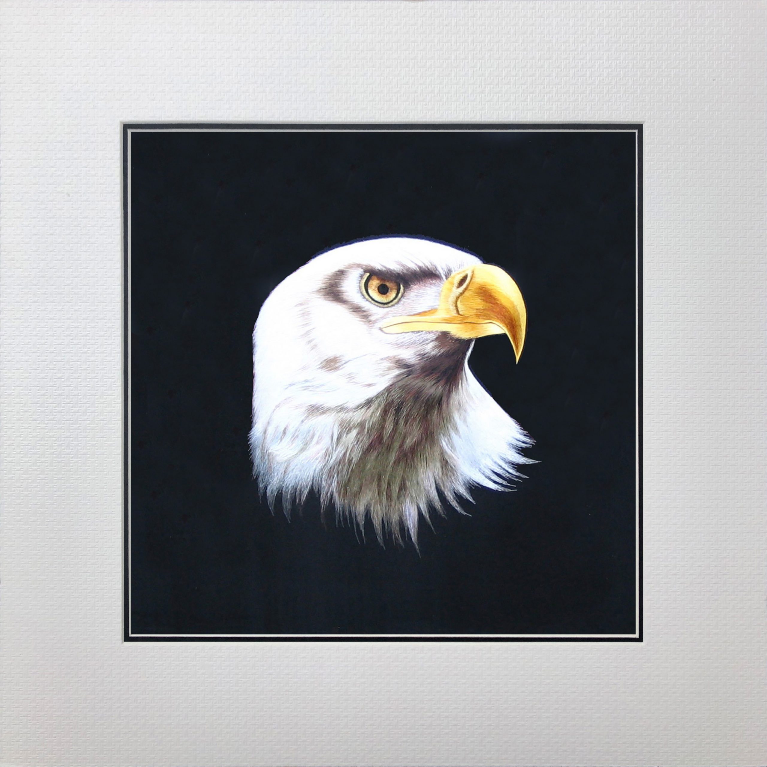 31095 Eagle - Image 2