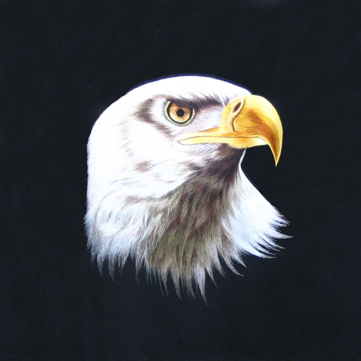 31095 Eagle
