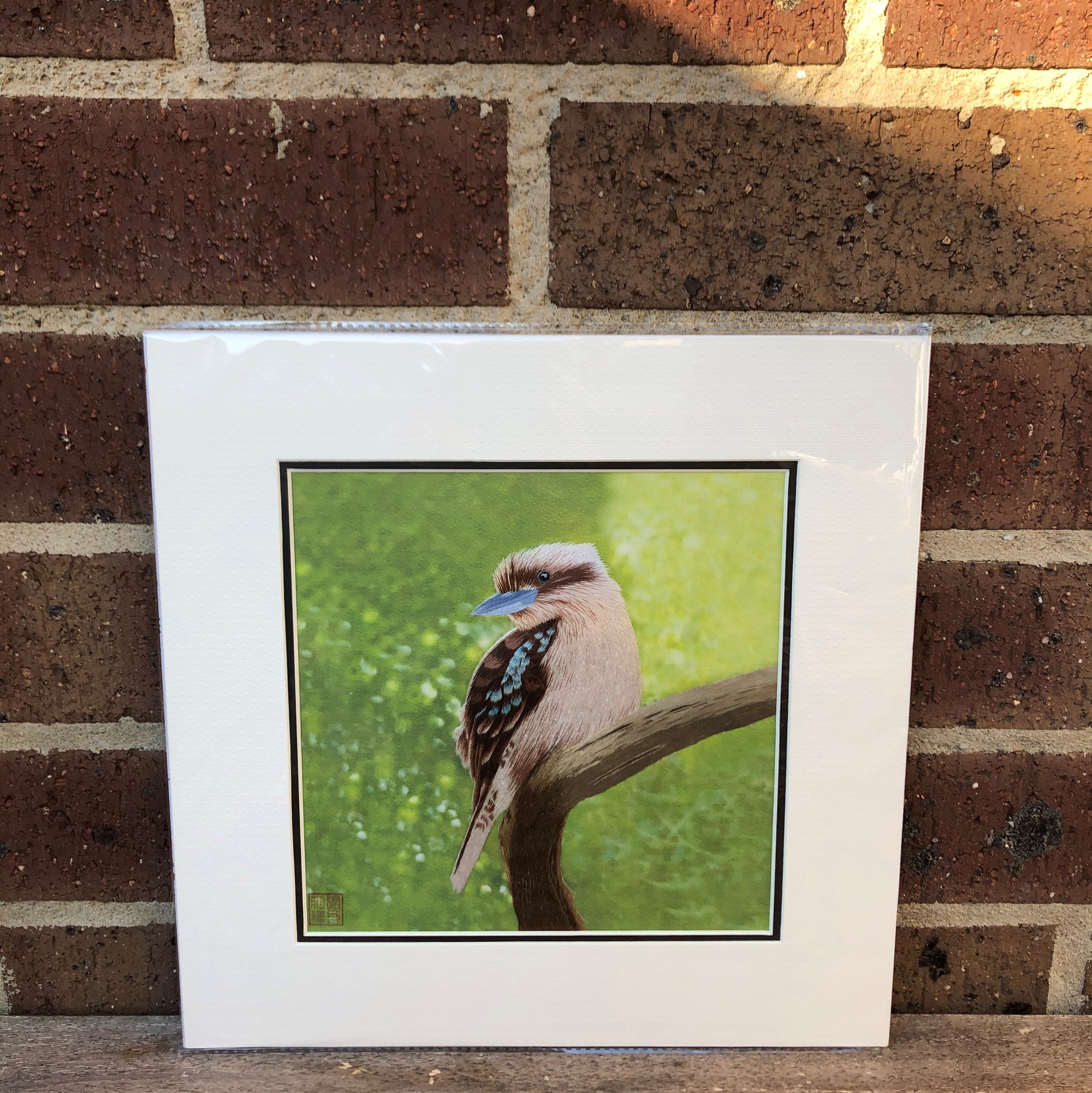 31155 Kookaburra - Image 4
