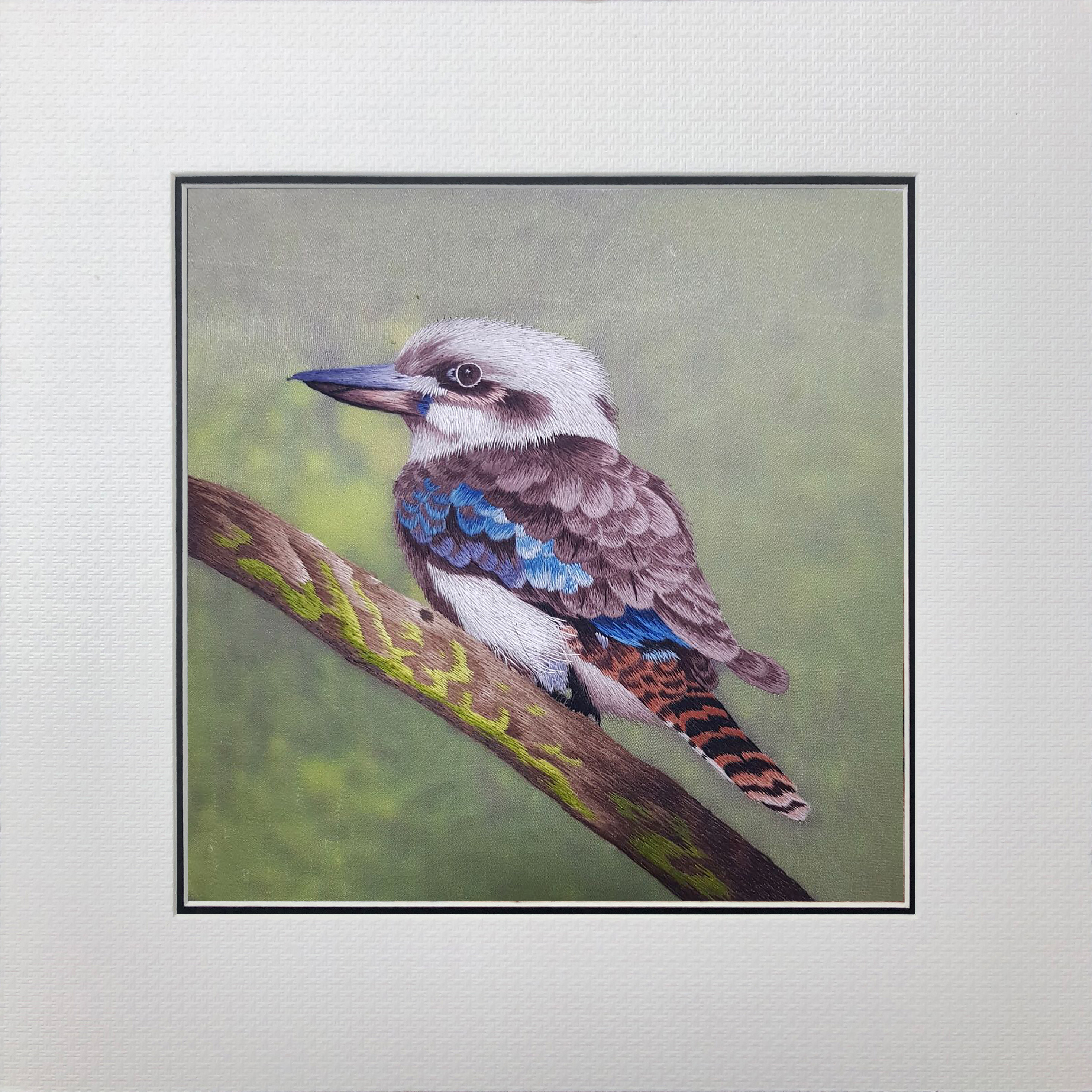 31156 Kookaburra - Image 2