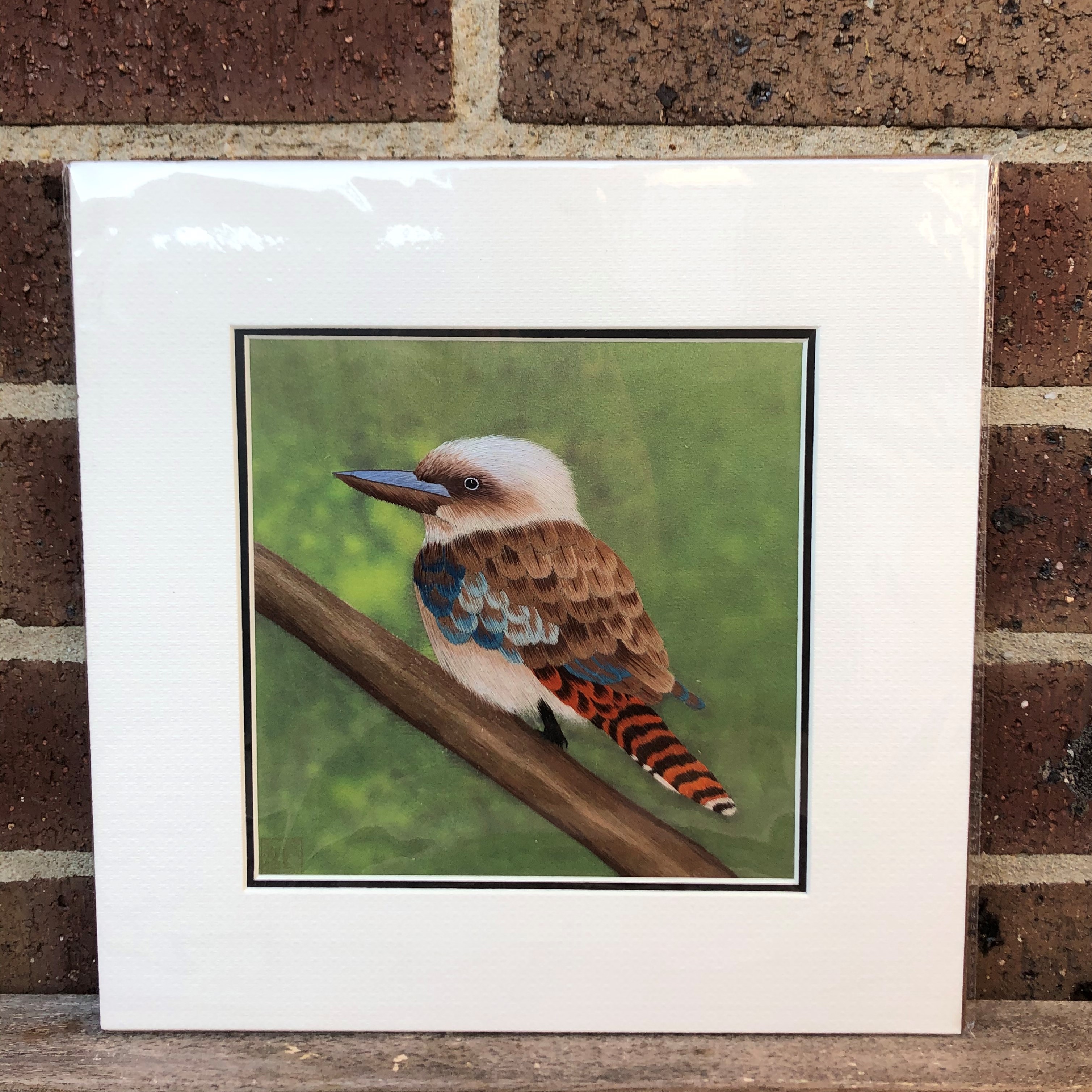 31156 Kookaburra - Image 4
