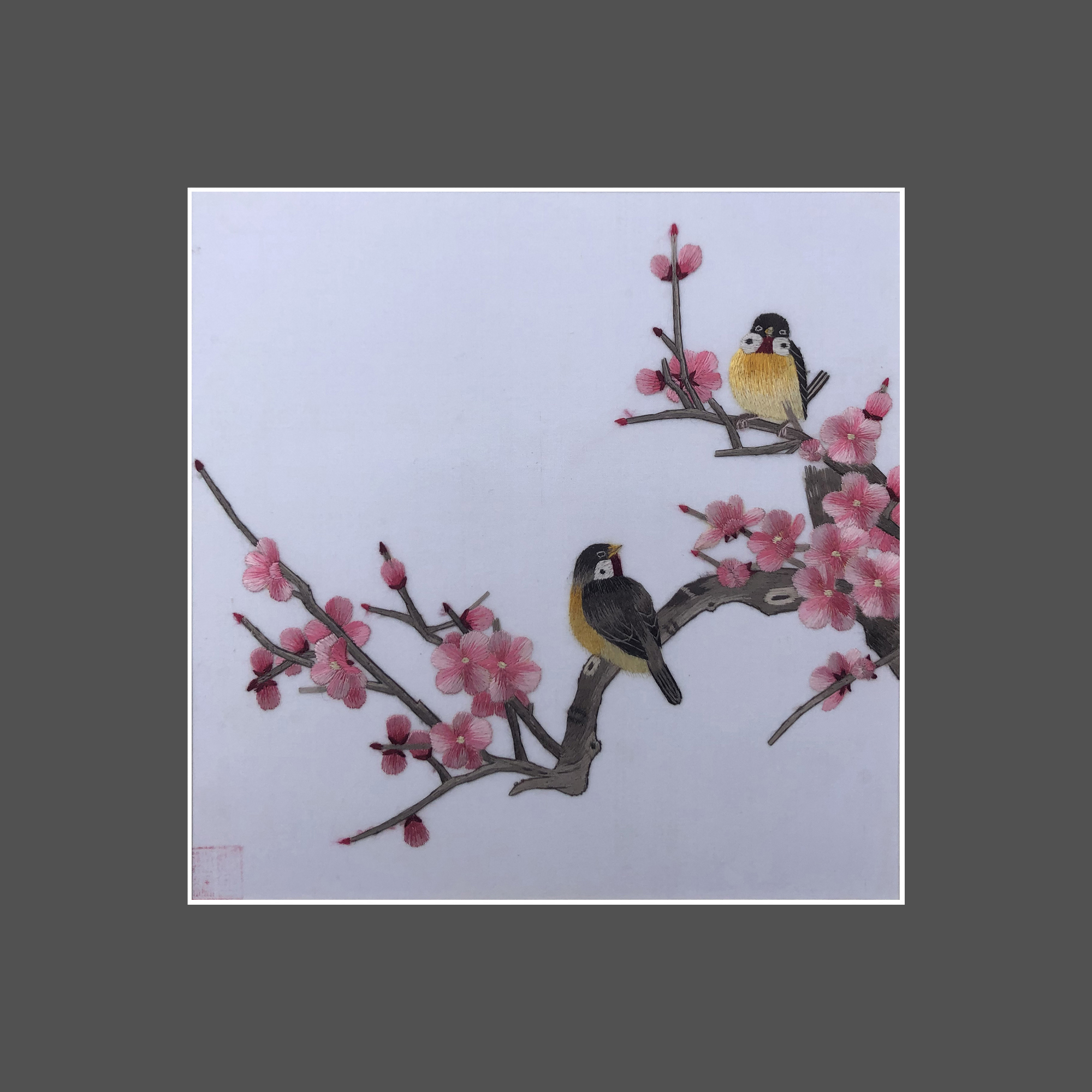 31163 Two birds sit on branch - Image 3