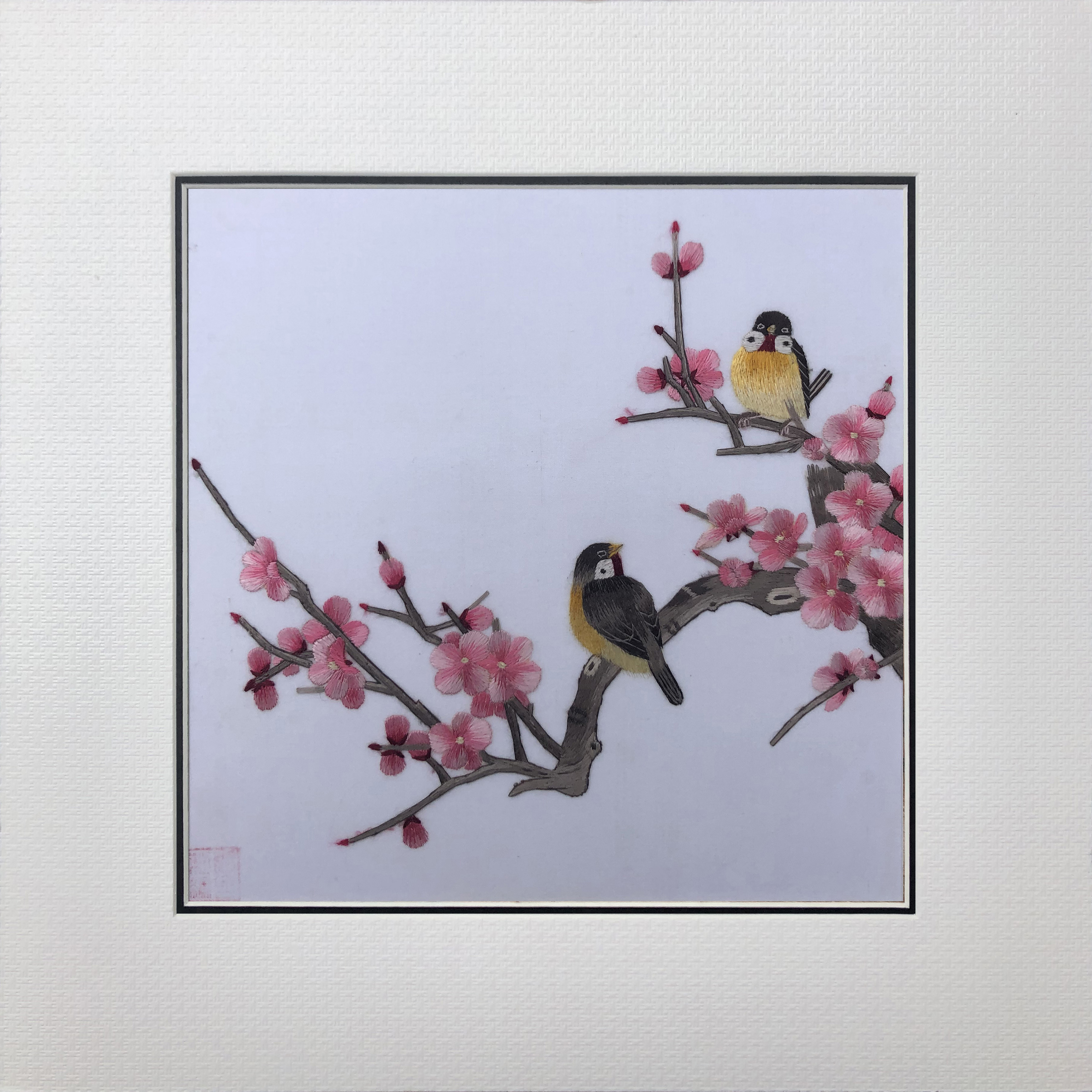31163 Two birds sit on branch - Image 2