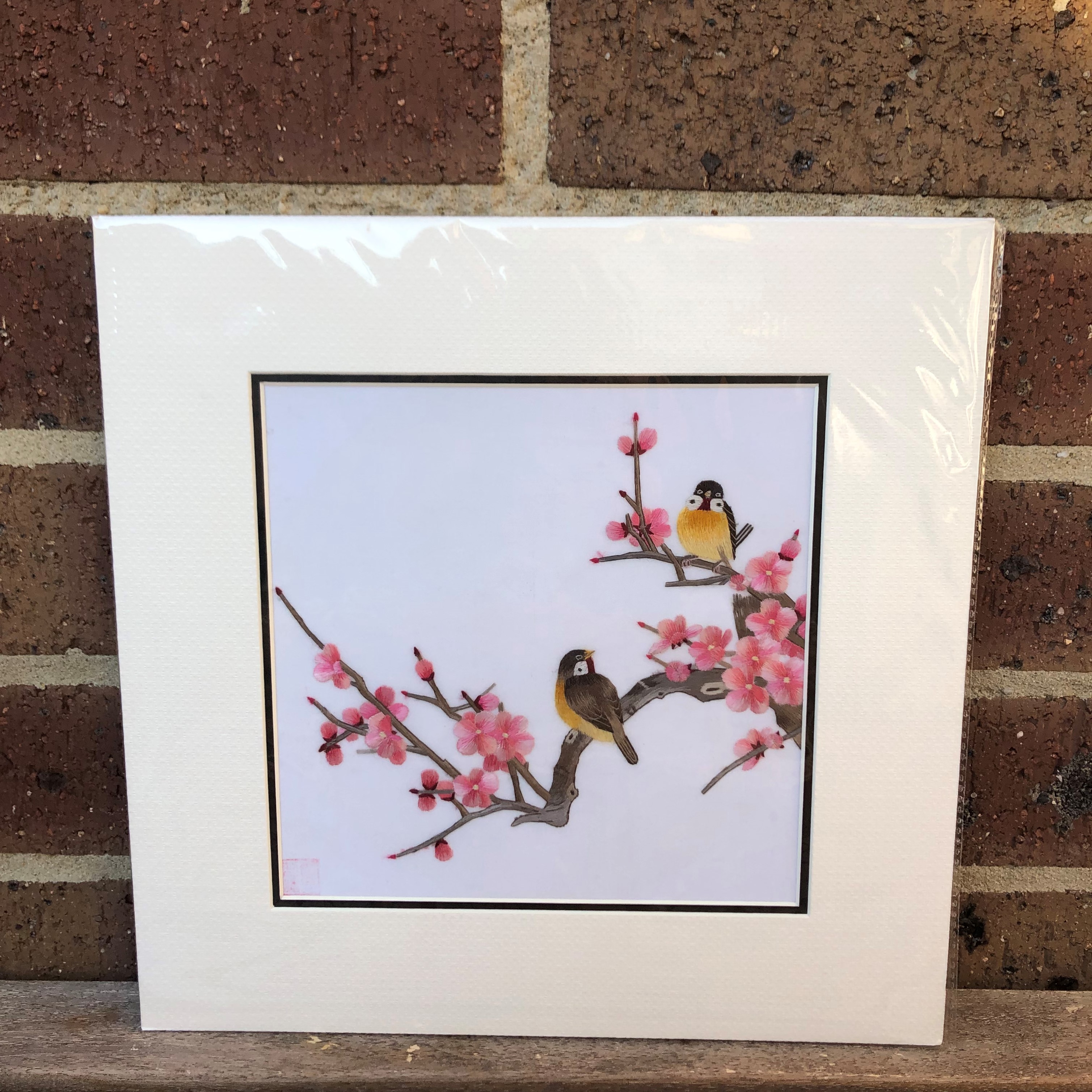 31163 Two birds sit on branch - Image 4