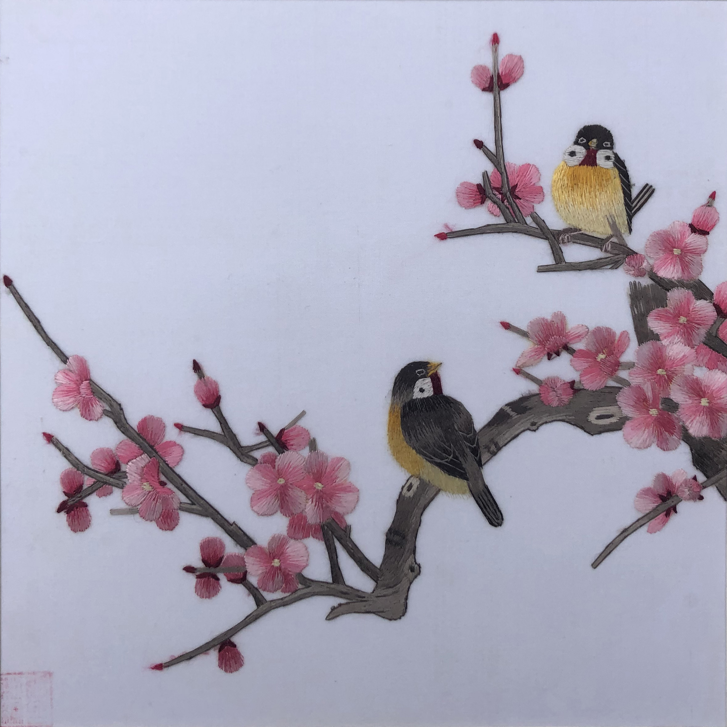 31163 Two birds sit on branch