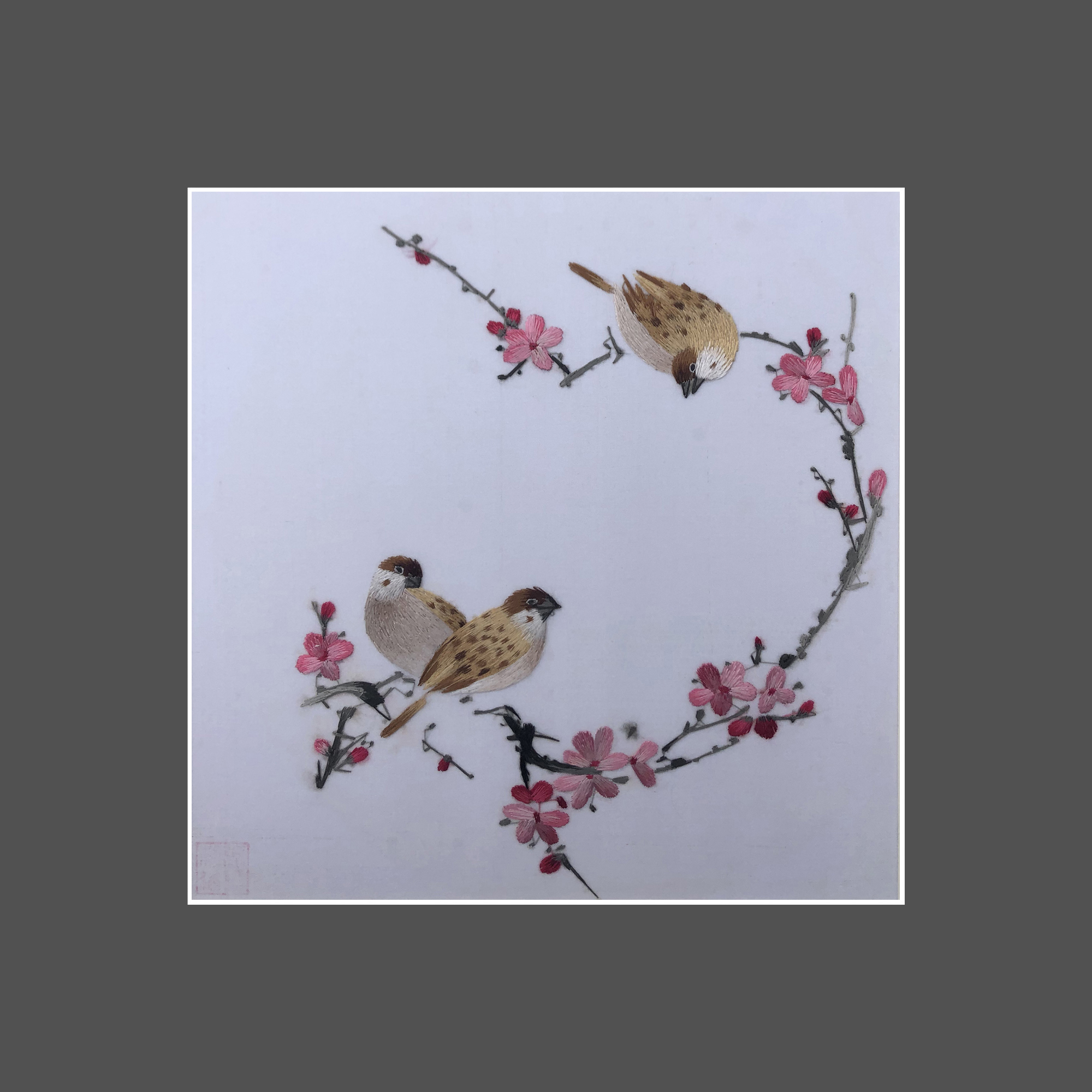 31162 Two birds sit on branch - Image 3