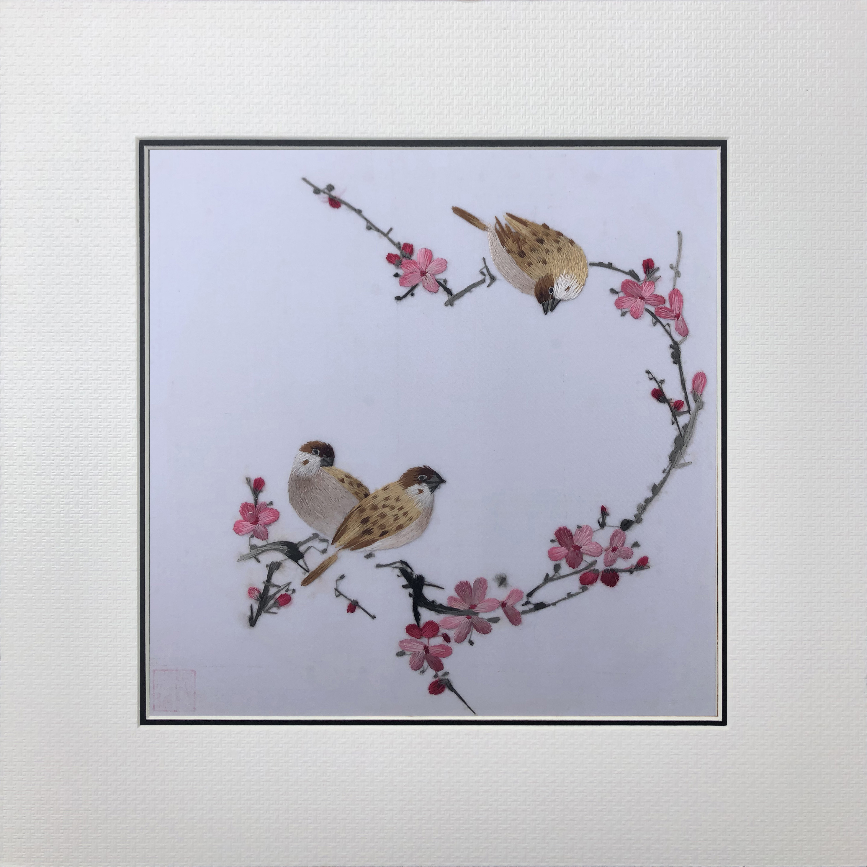 31162 Two birds sit on branch - Image 2