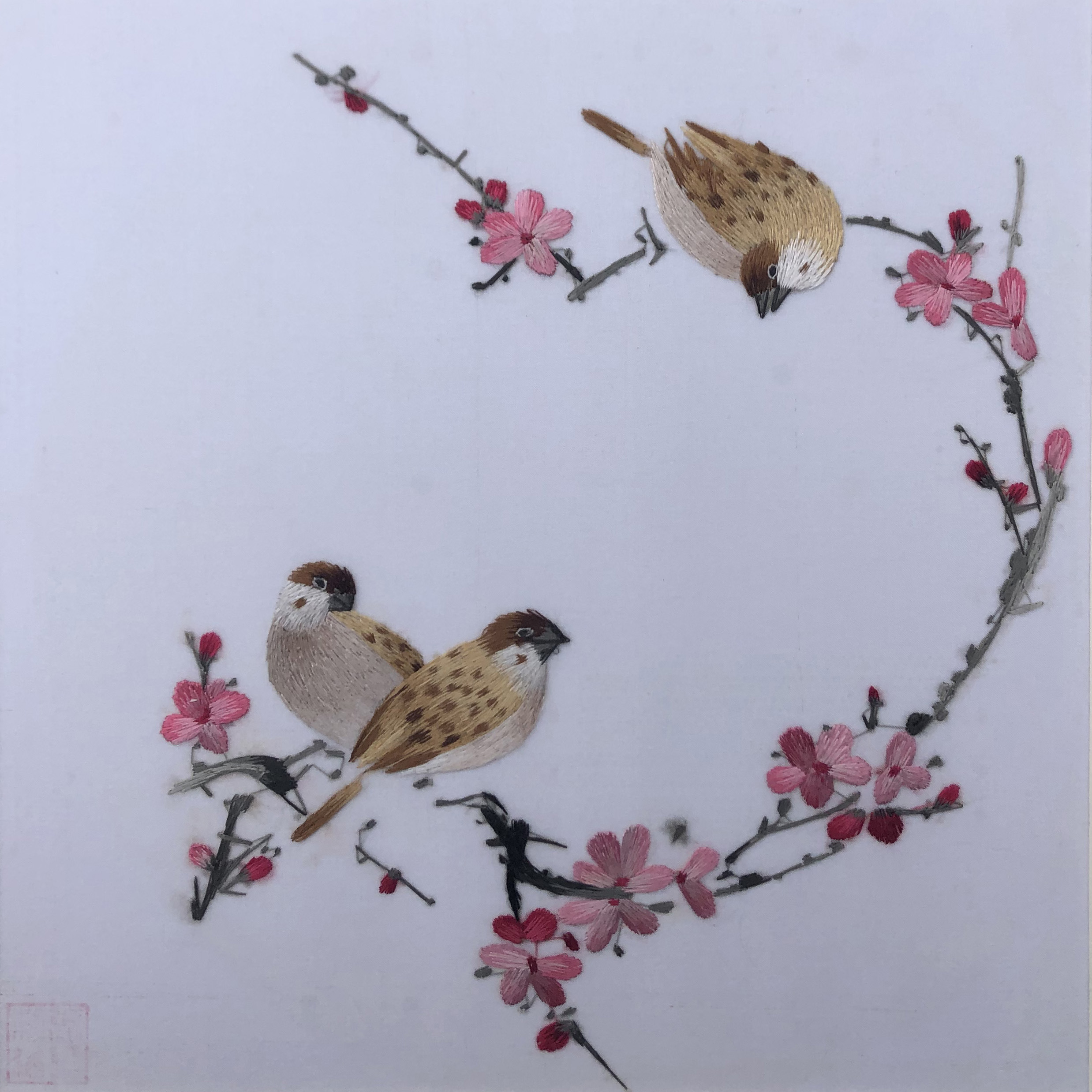 31162 Two birds sit on branch