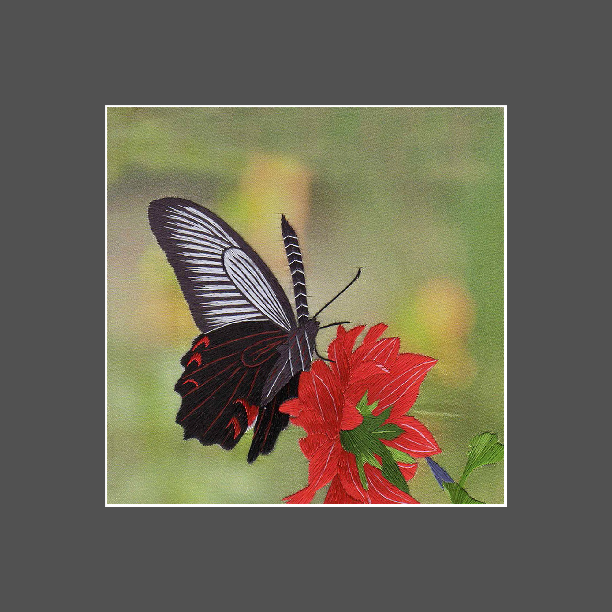 33020 Butterfly - Image 3