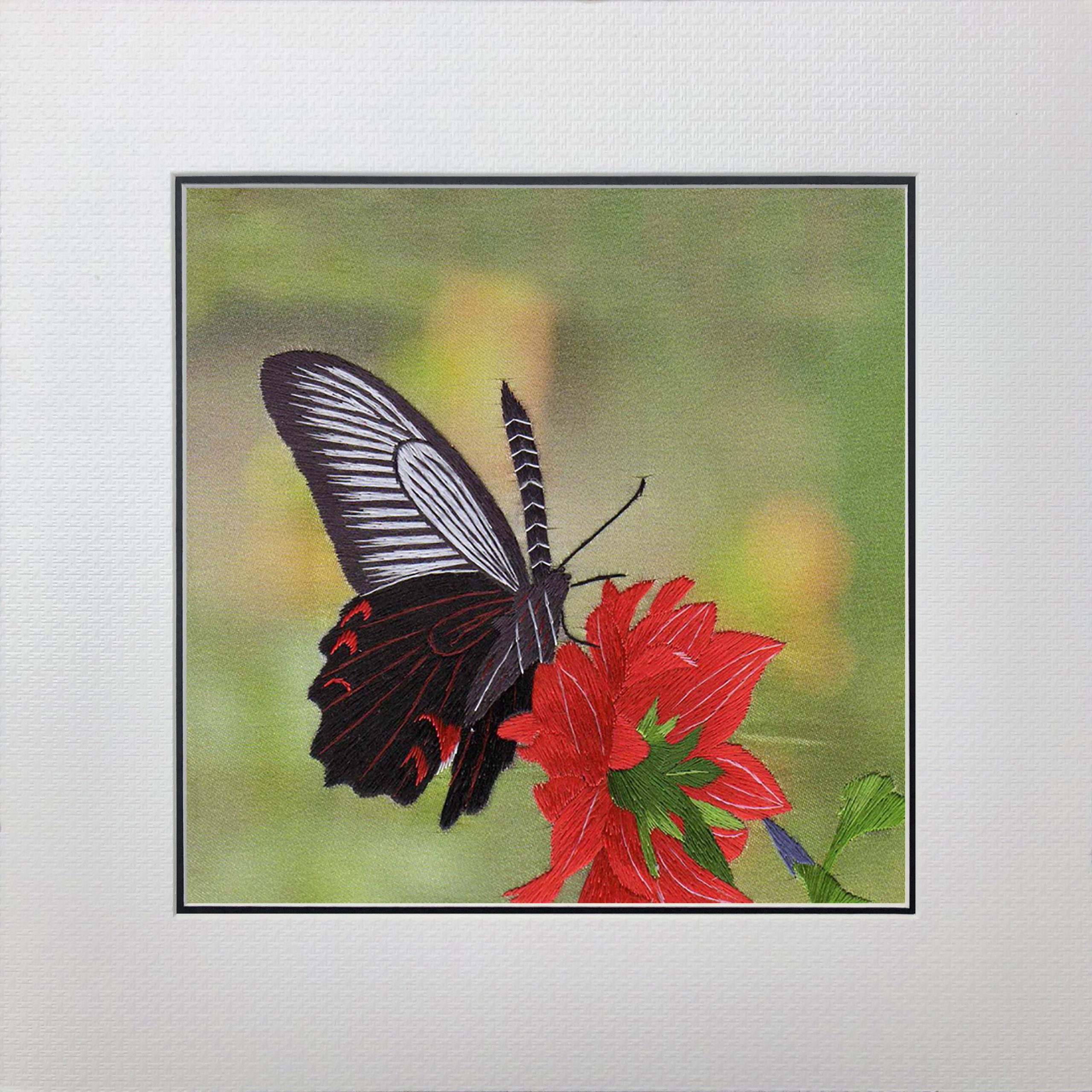 33020 Butterfly - Image 2