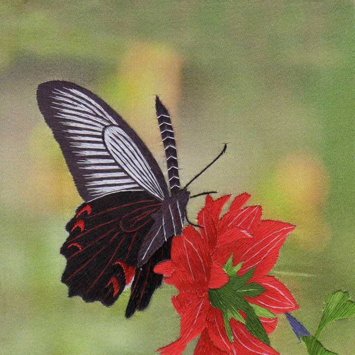 33020 Butterfly