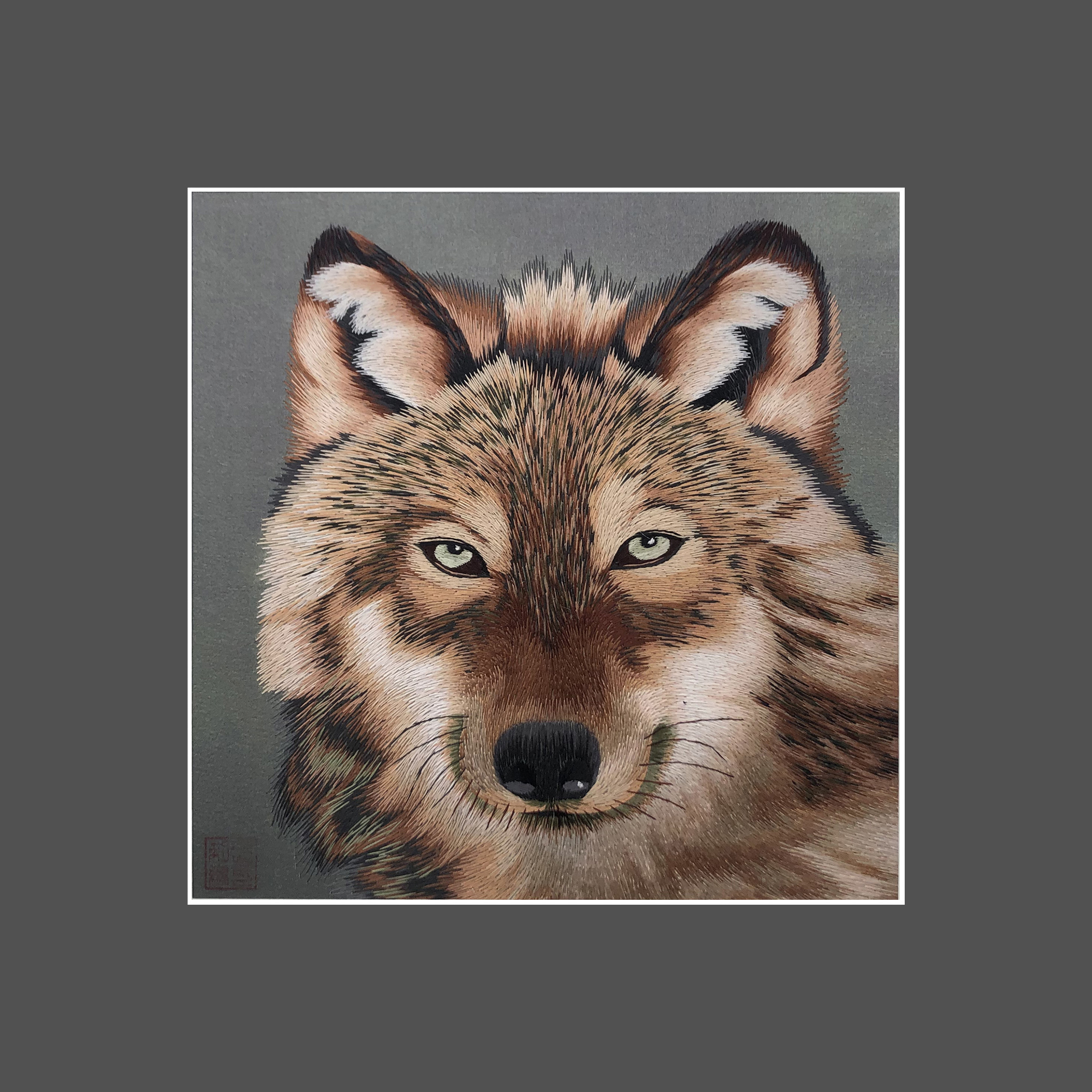 34036 Portrait of wolf - Image 3