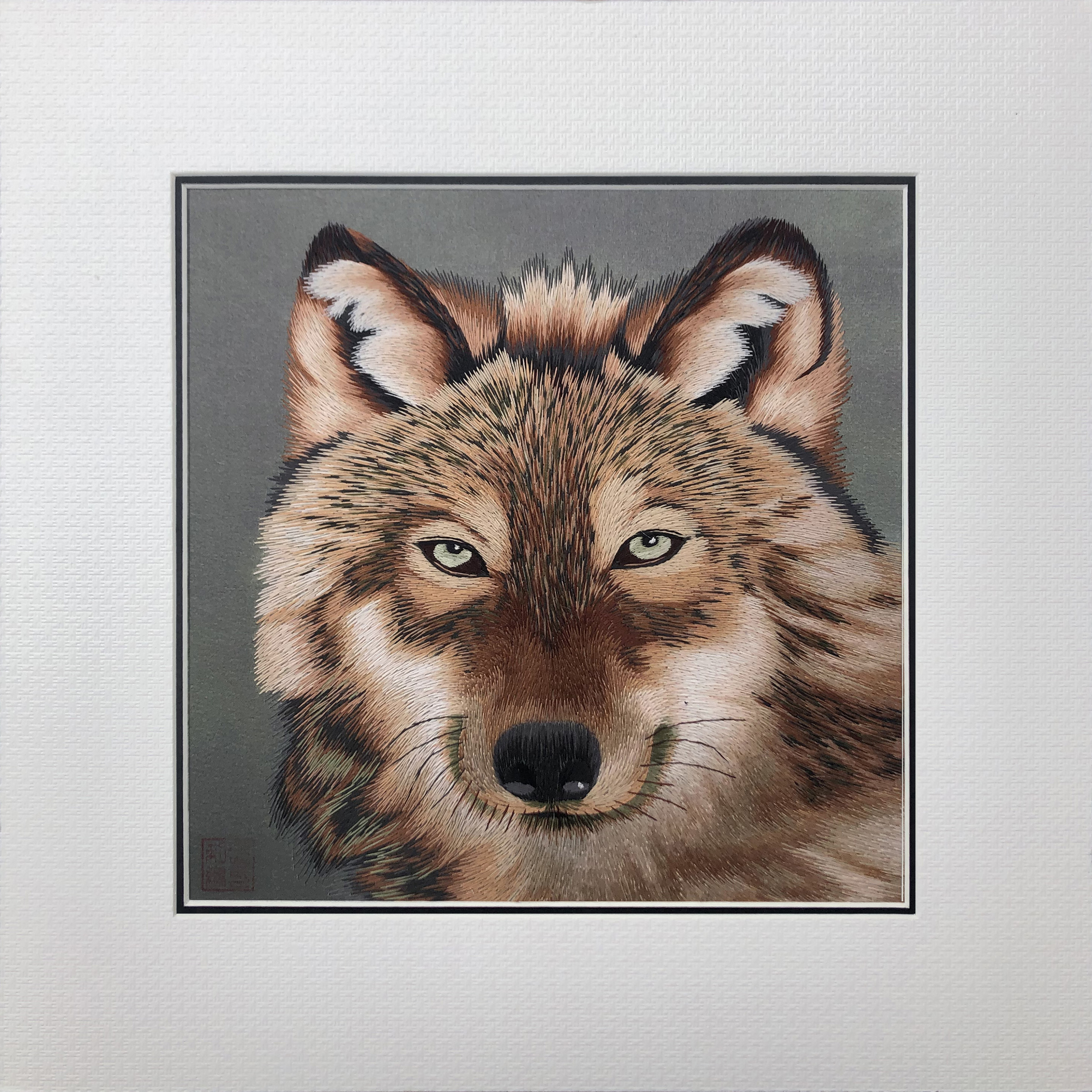 34036 Portrait of wolf - Image 2