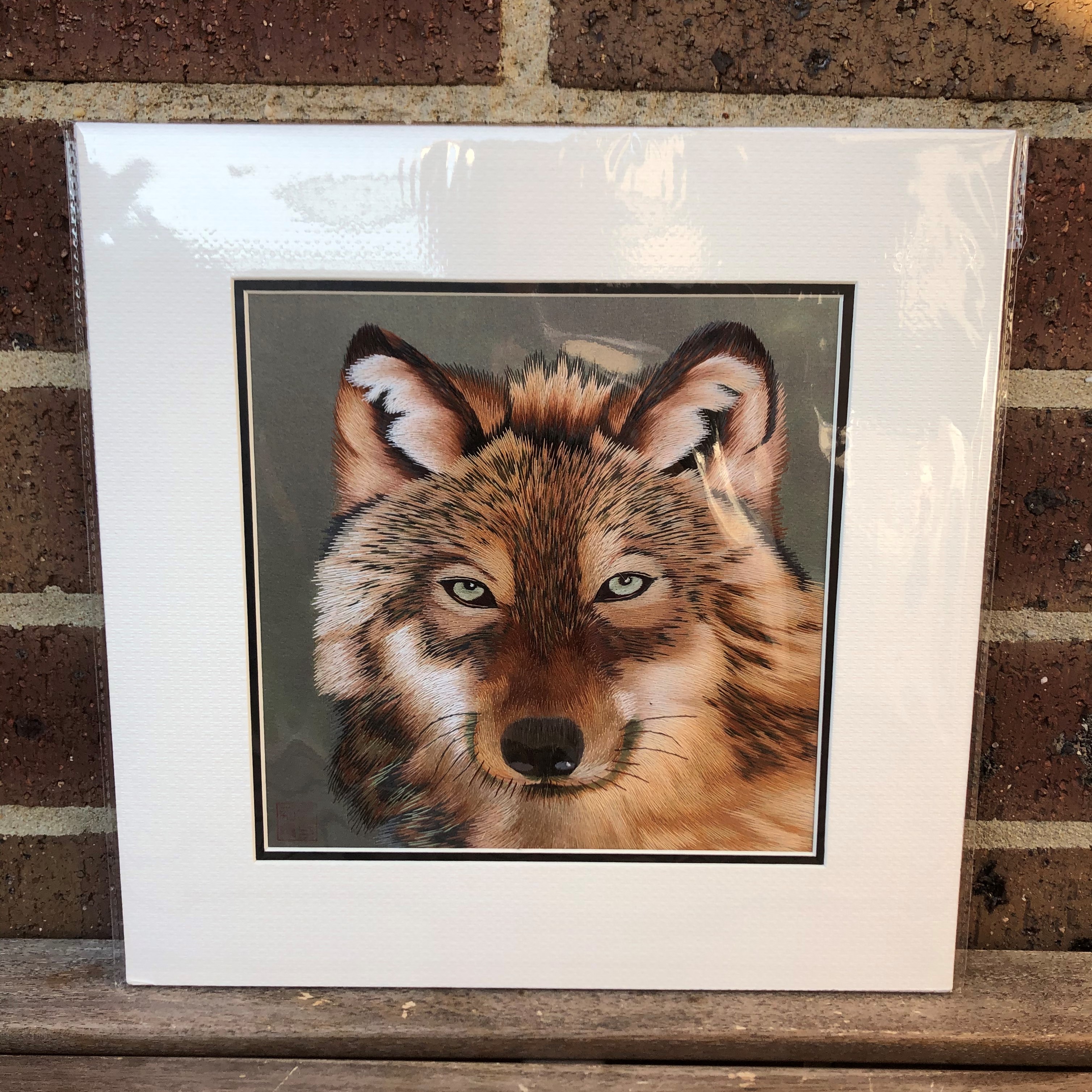 34036 Portrait of wolf - Image 4