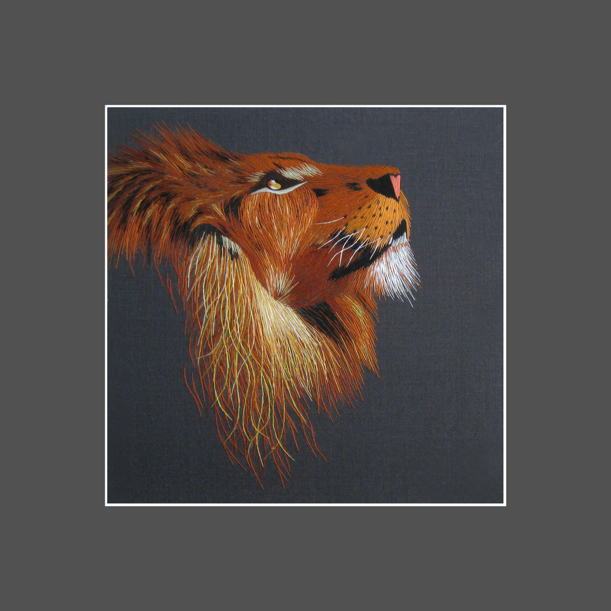 34087 Lion - Image 3
