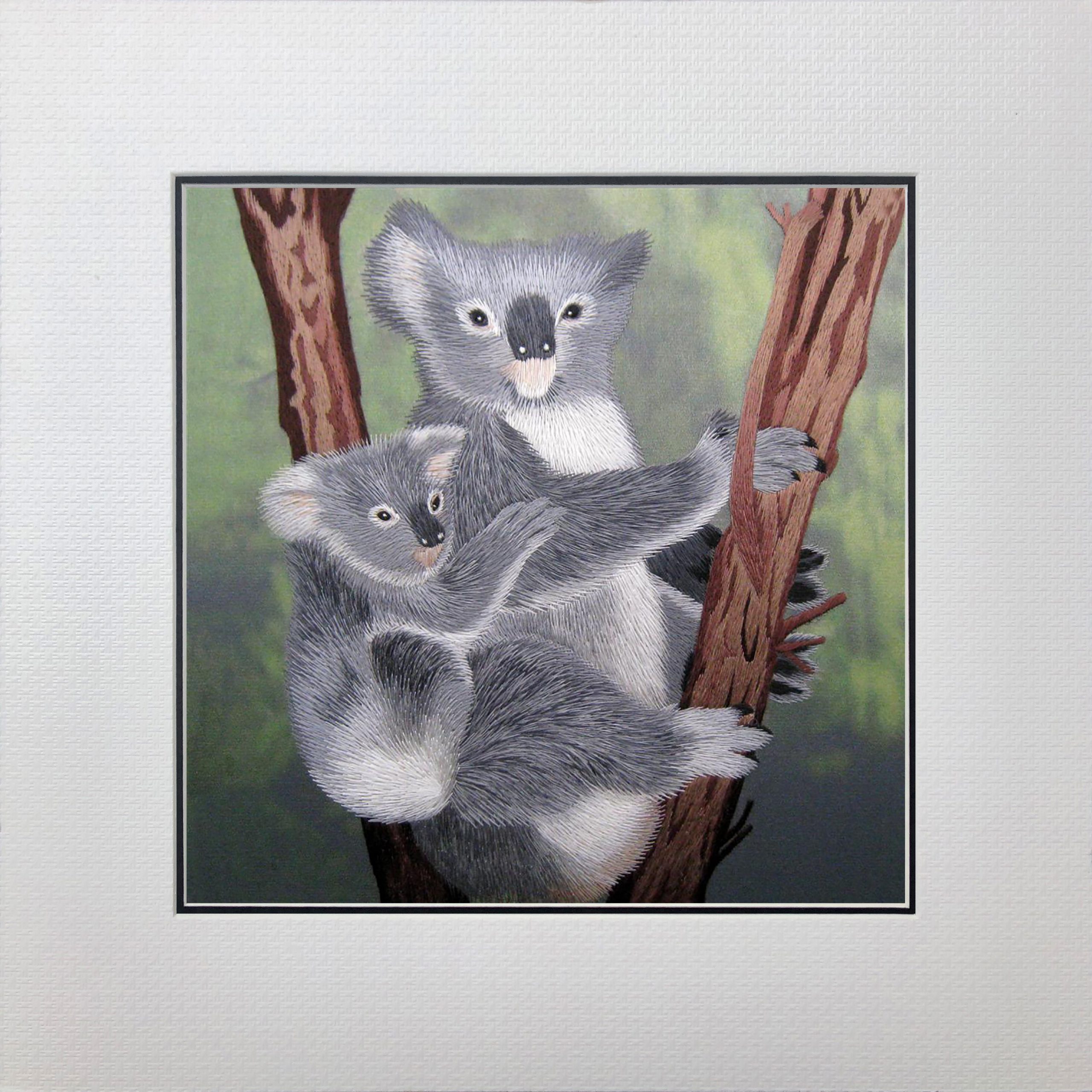 34137 Koala - Image 2