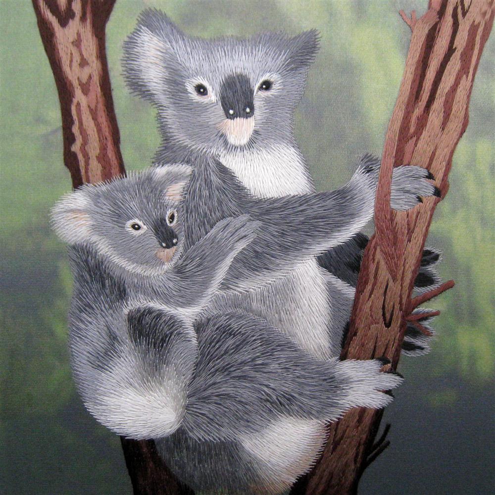 34137 Koala