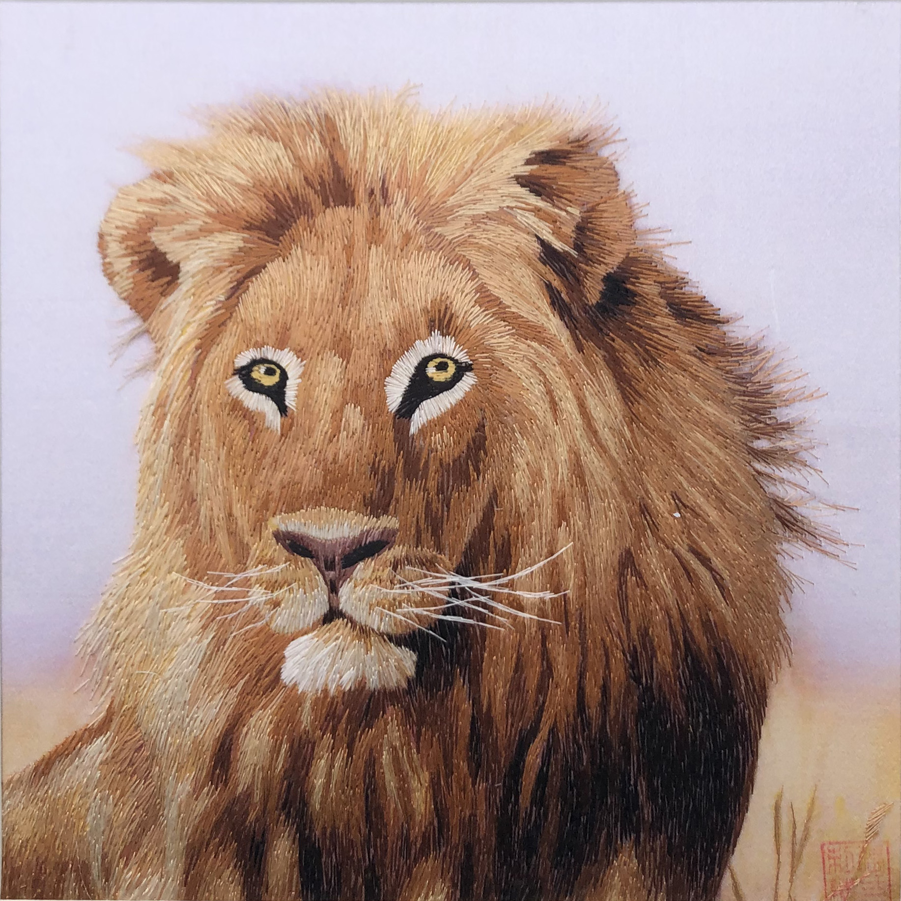 34149 Lion