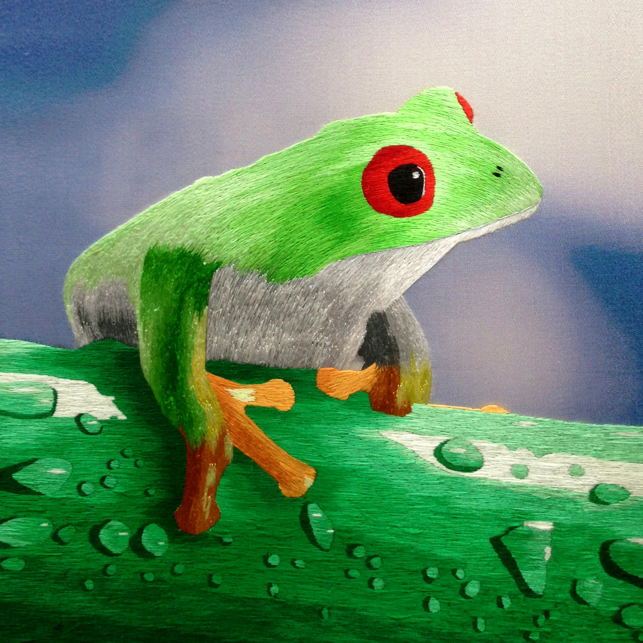 34214 Frog