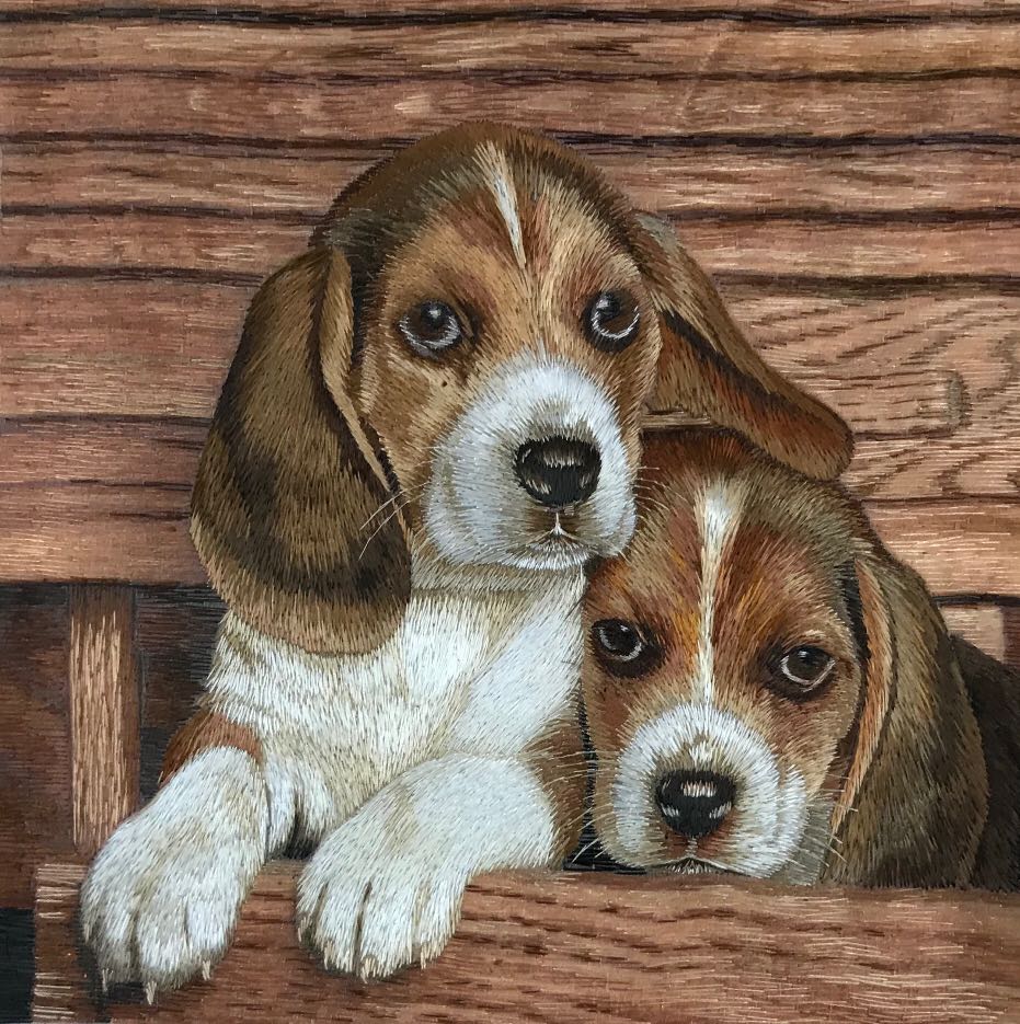 34231 Two dogs