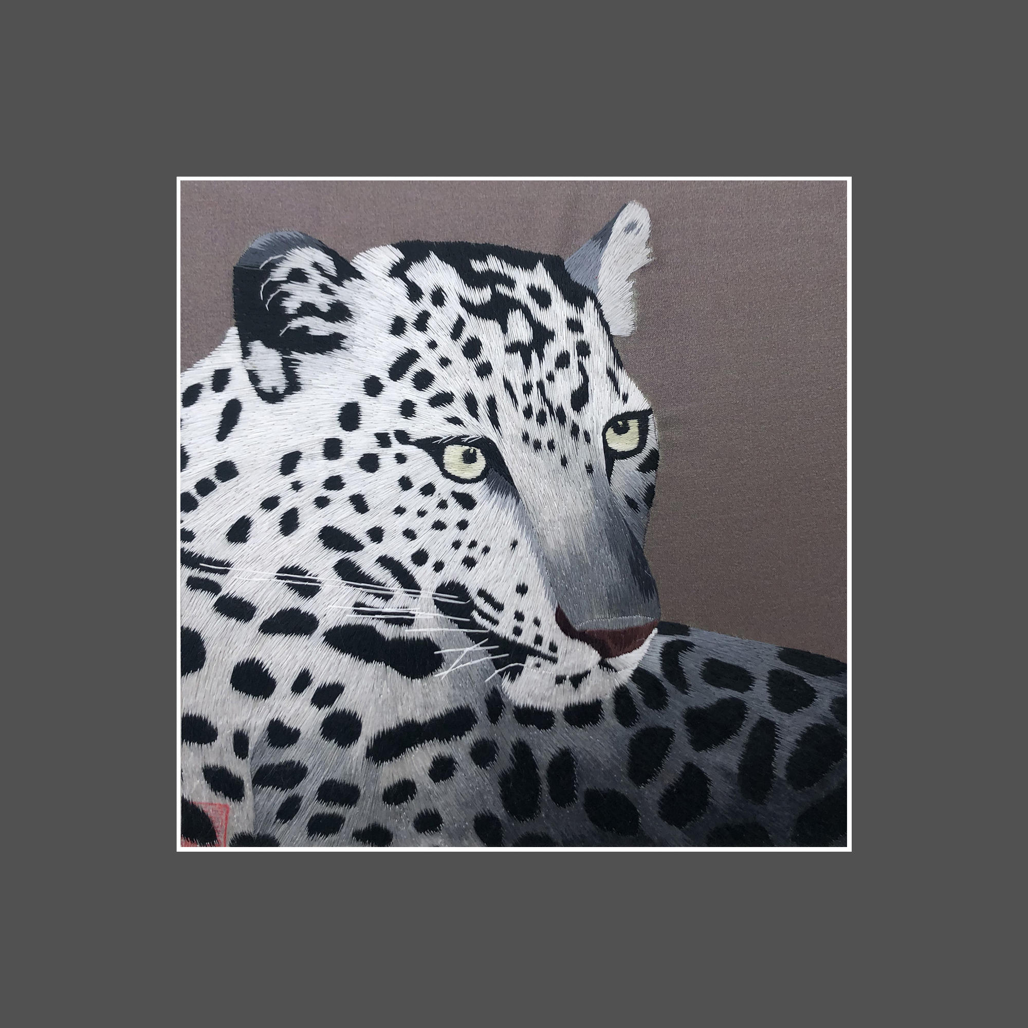 34239 Portrait of leopard - Image 3