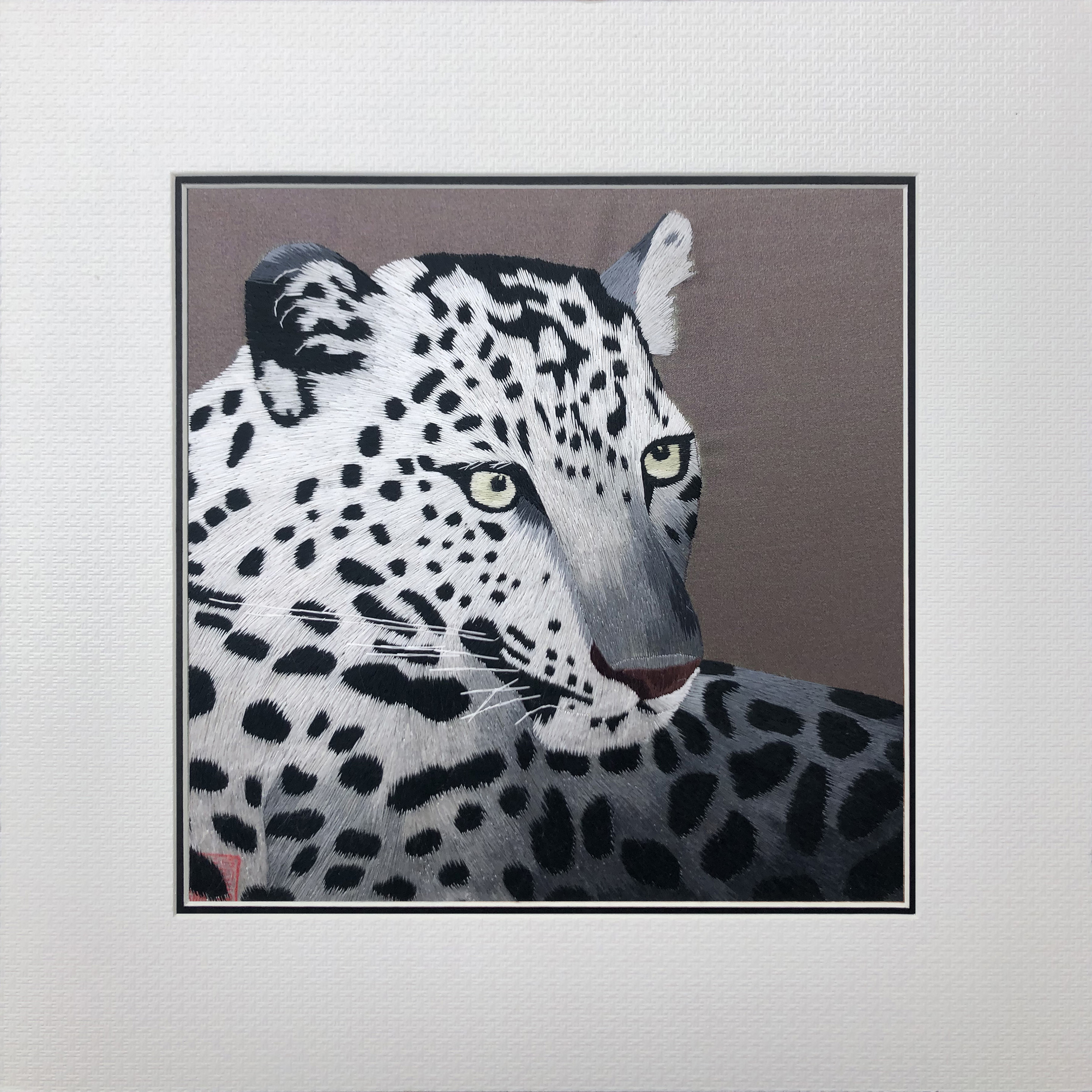 34239 Portrait of leopard - Image 2