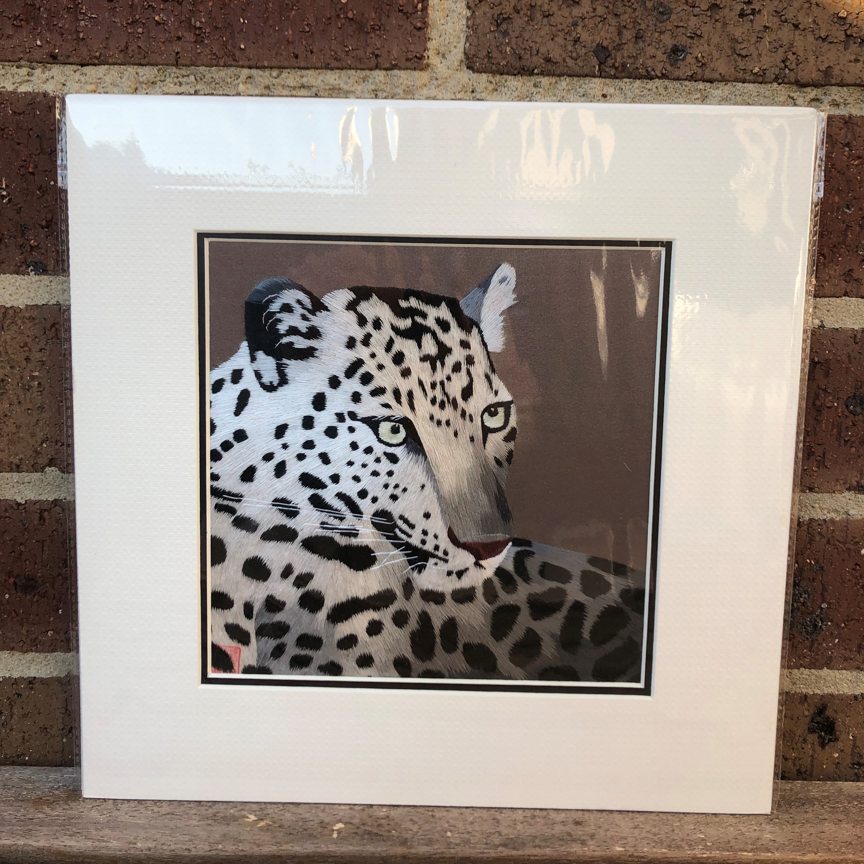 34239 Portrait of leopard - Image 4