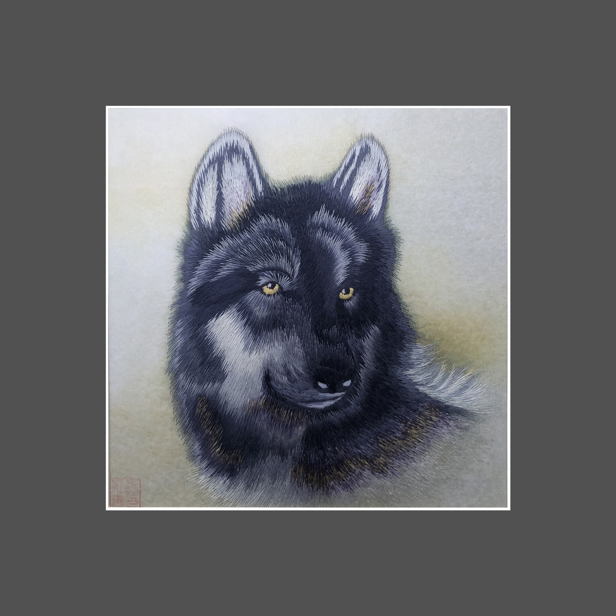 34244 Portrait of black wolf - Image 3