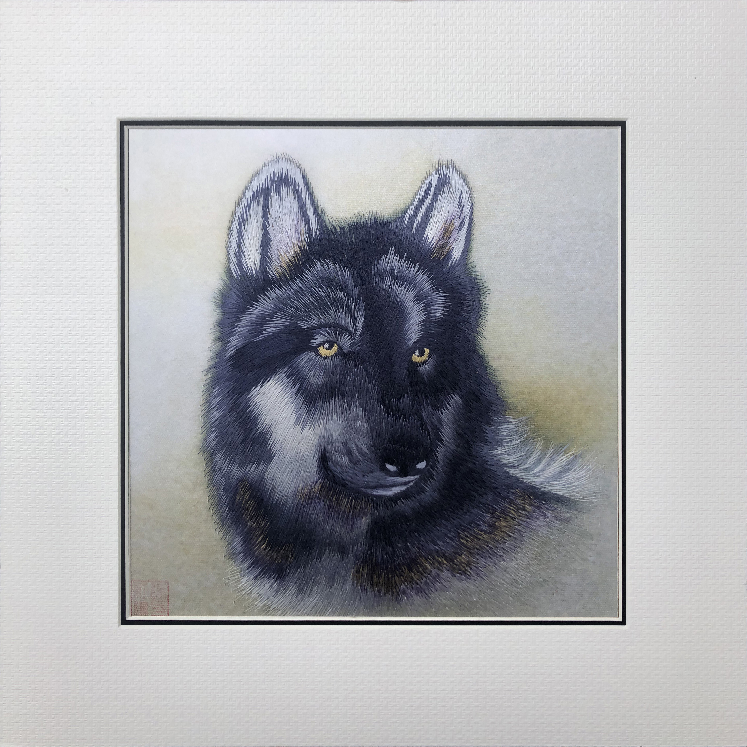 34244 Portrait of black wolf - Image 2