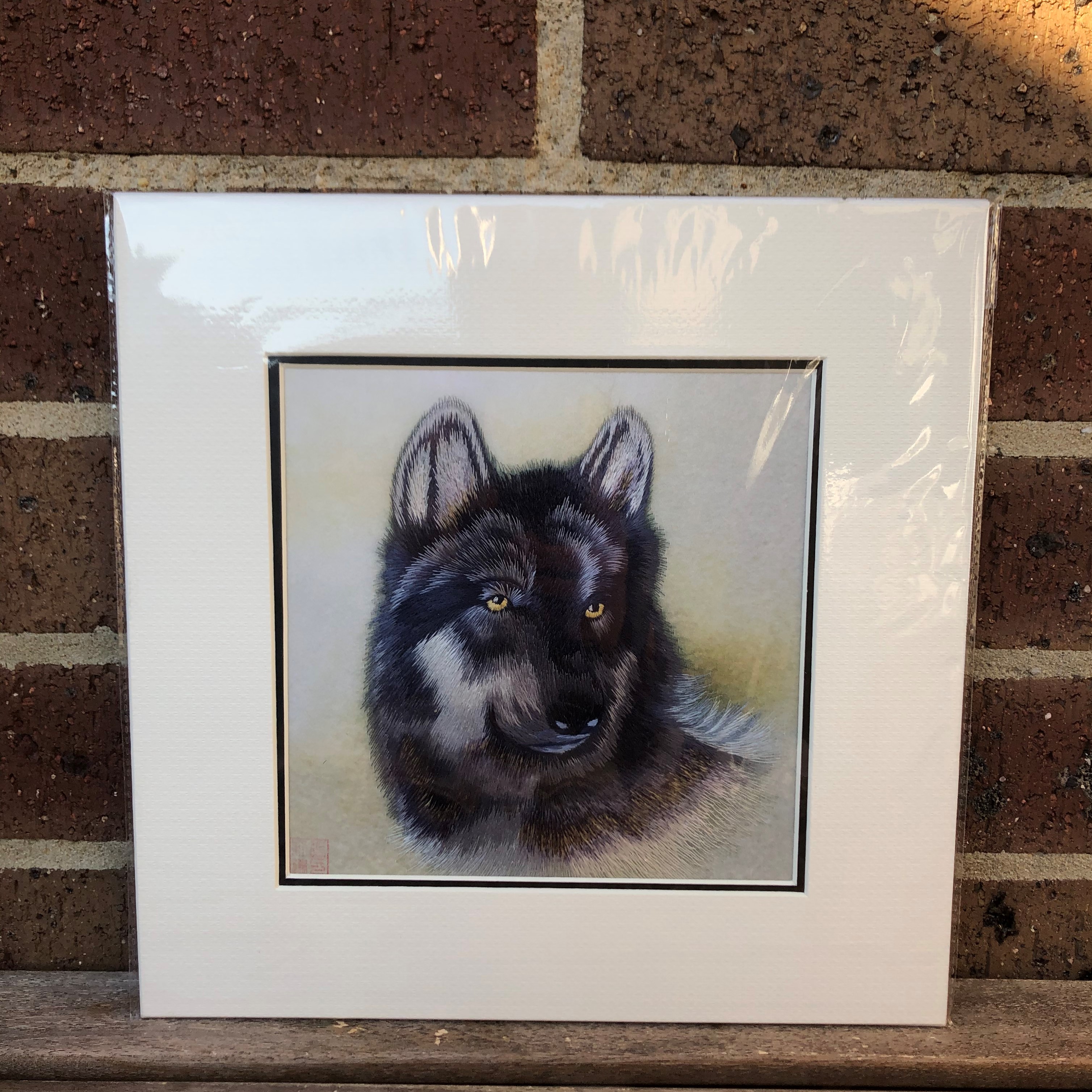 34244 Portrait of black wolf - Image 4