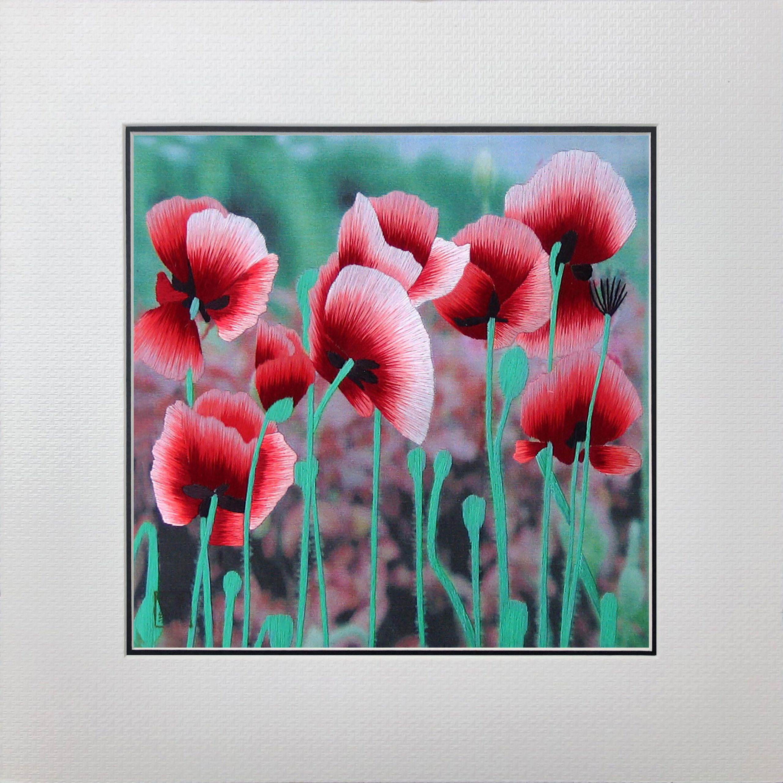 36047 Poppy - Image 2