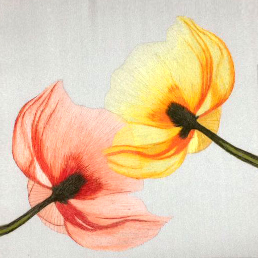 36203 Poppies