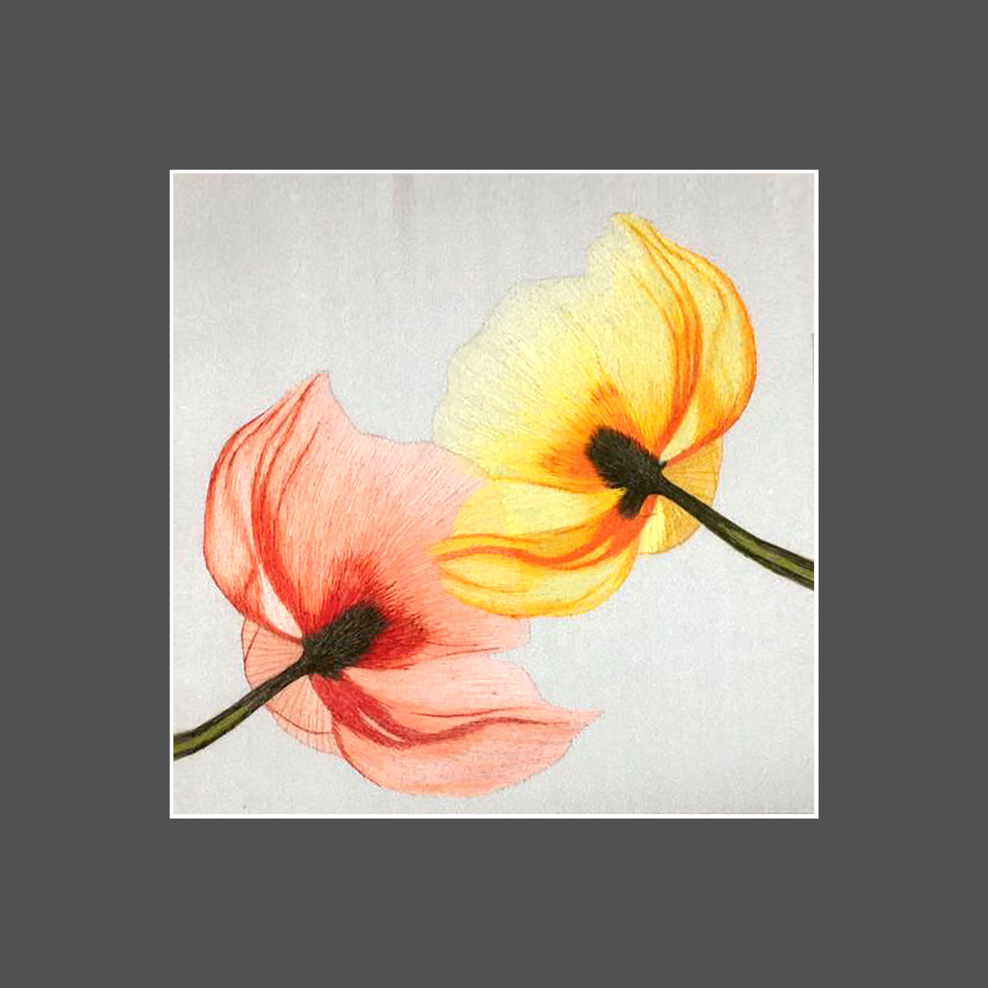36203 Poppies - Image 3