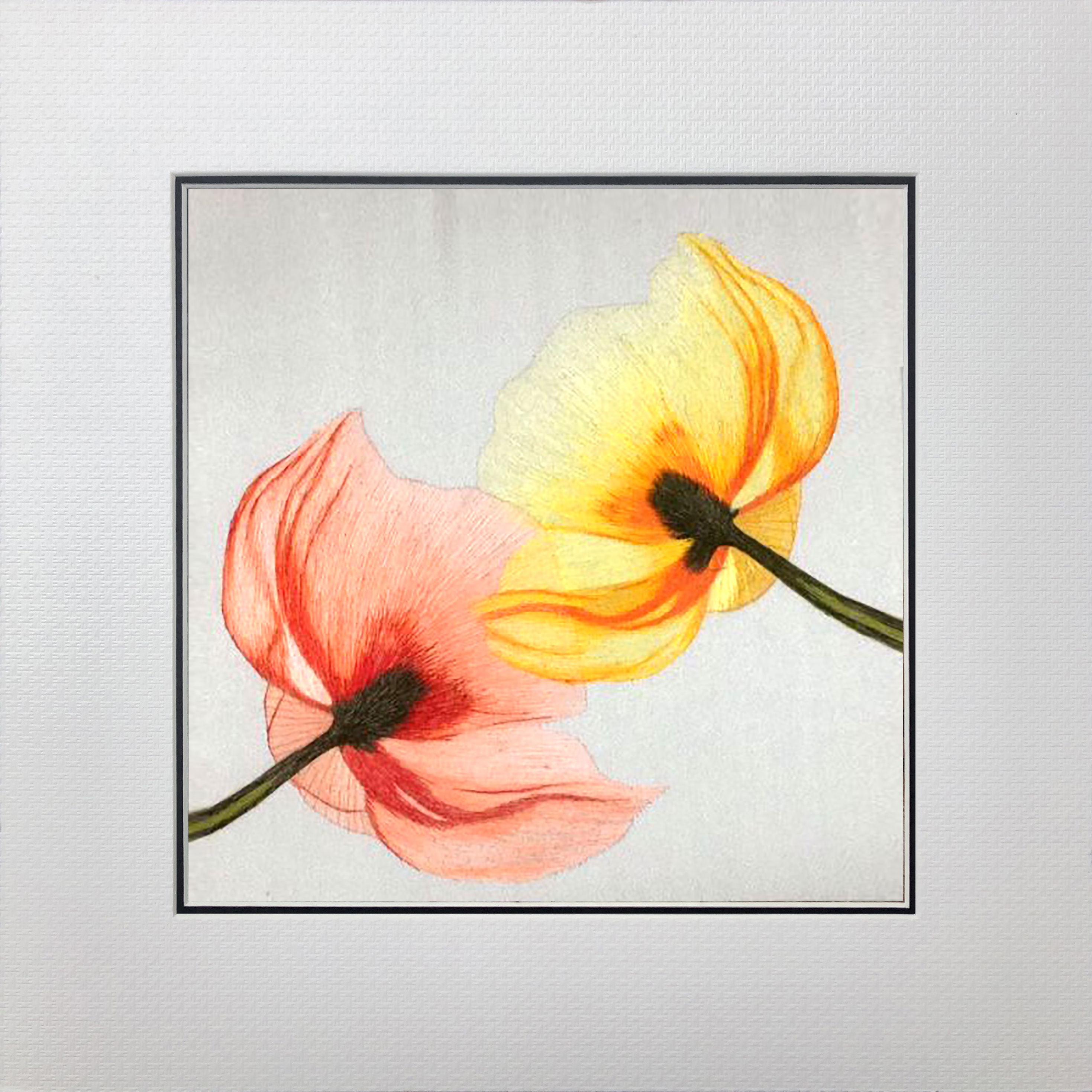 36203 Poppies - Image 2