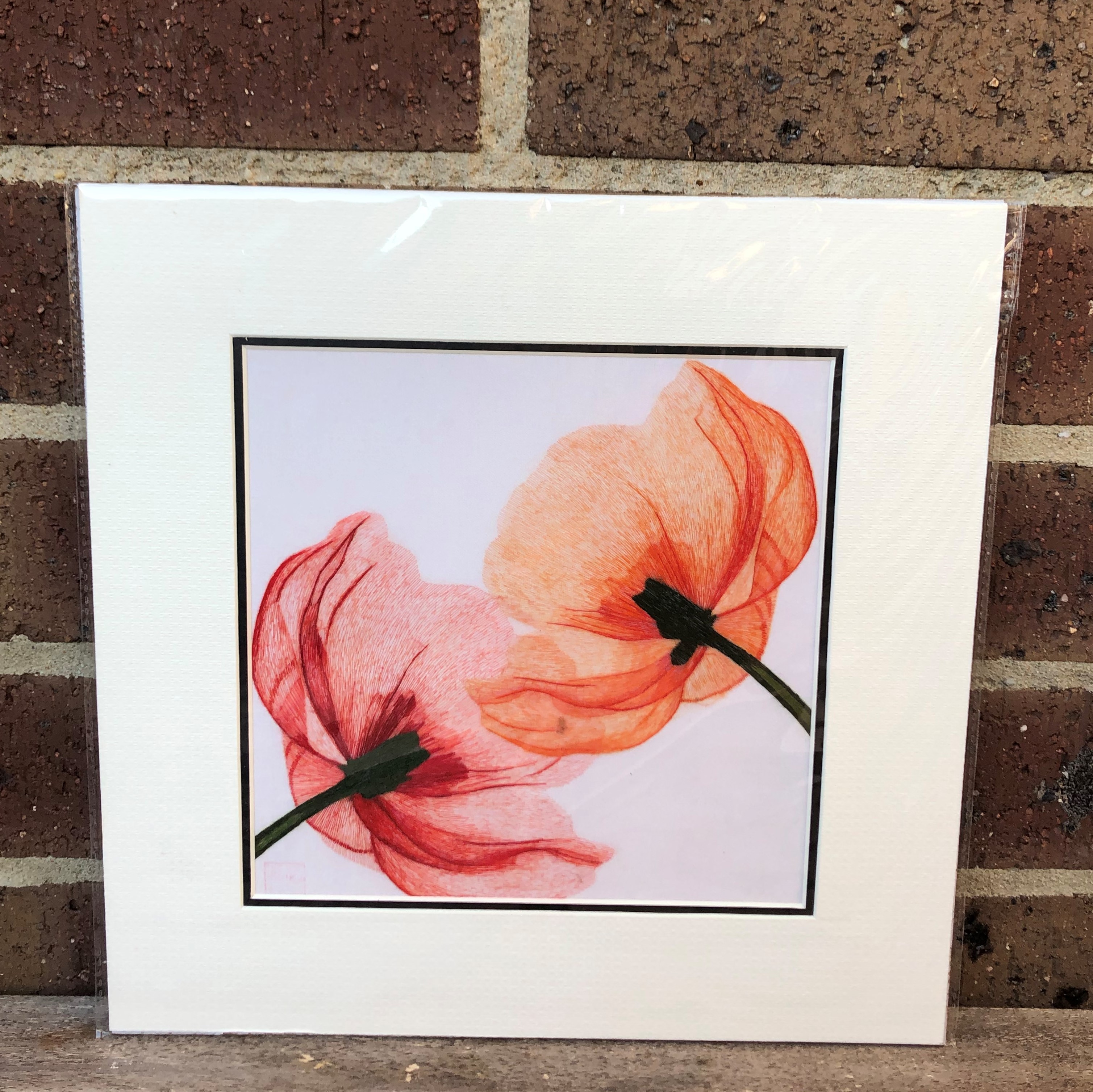 36203 Poppies - Image 4