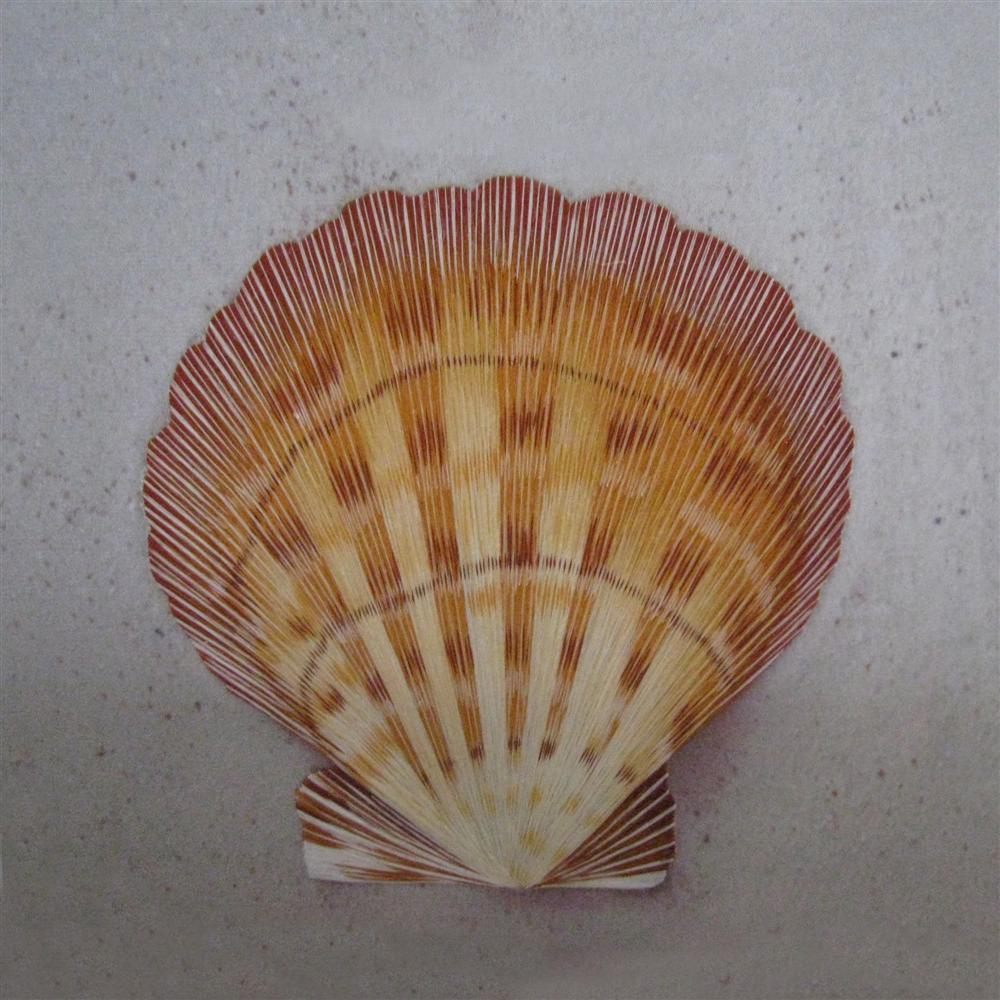 38024 shell