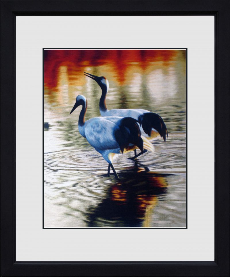 71038 40x50 cm master black frame