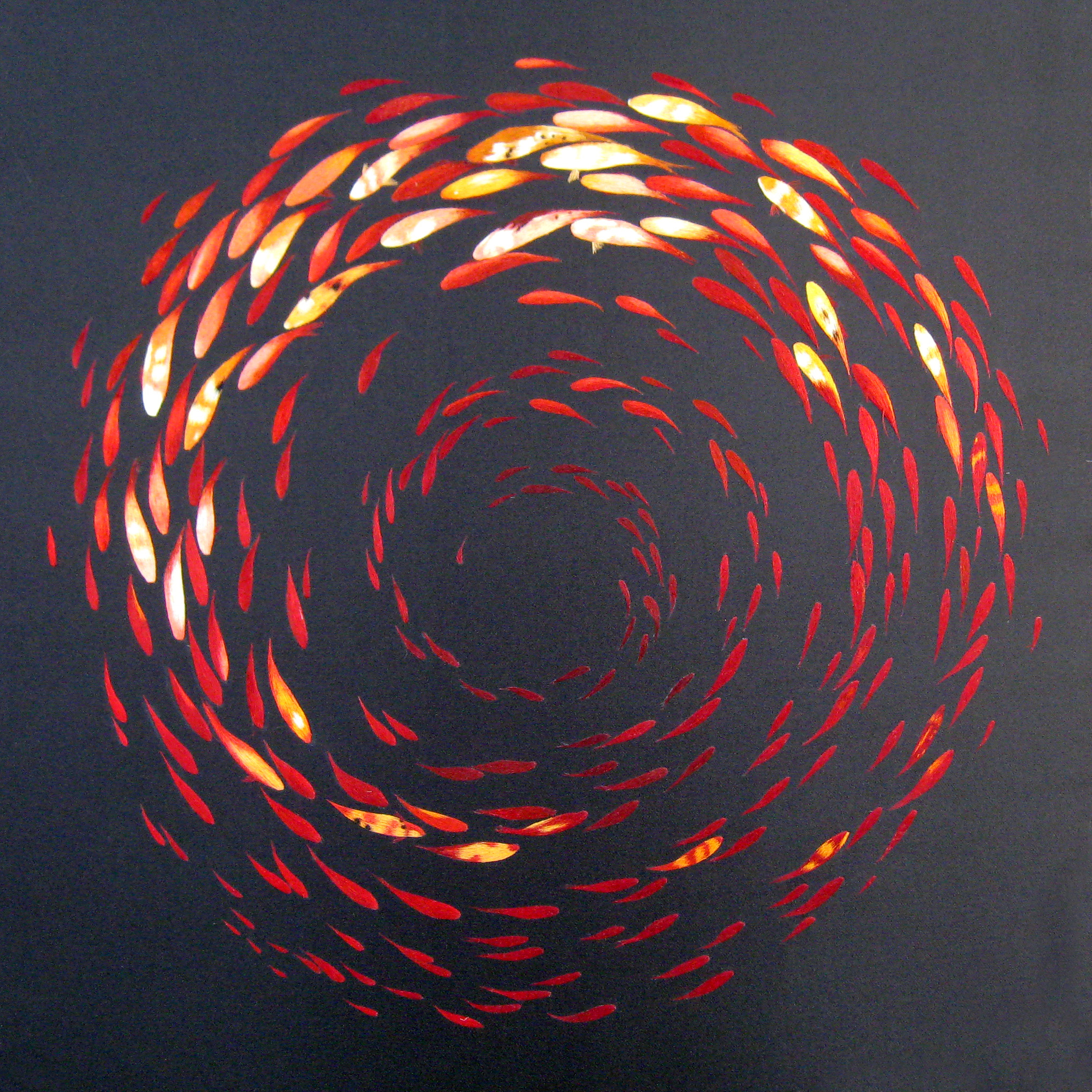 72003 999 Circle Koi Fish Abstract