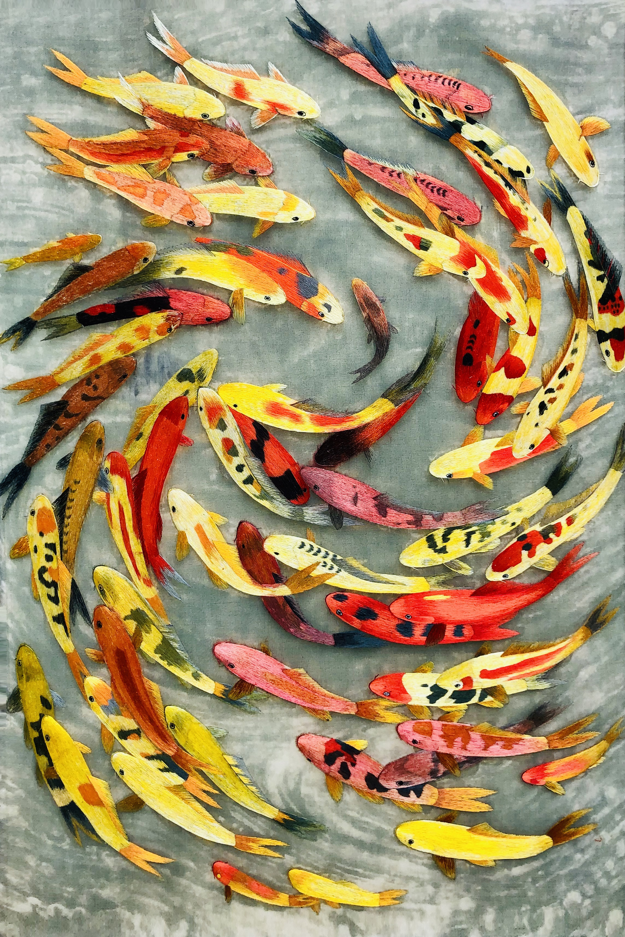 72043 99 Circle Color Koi Fish