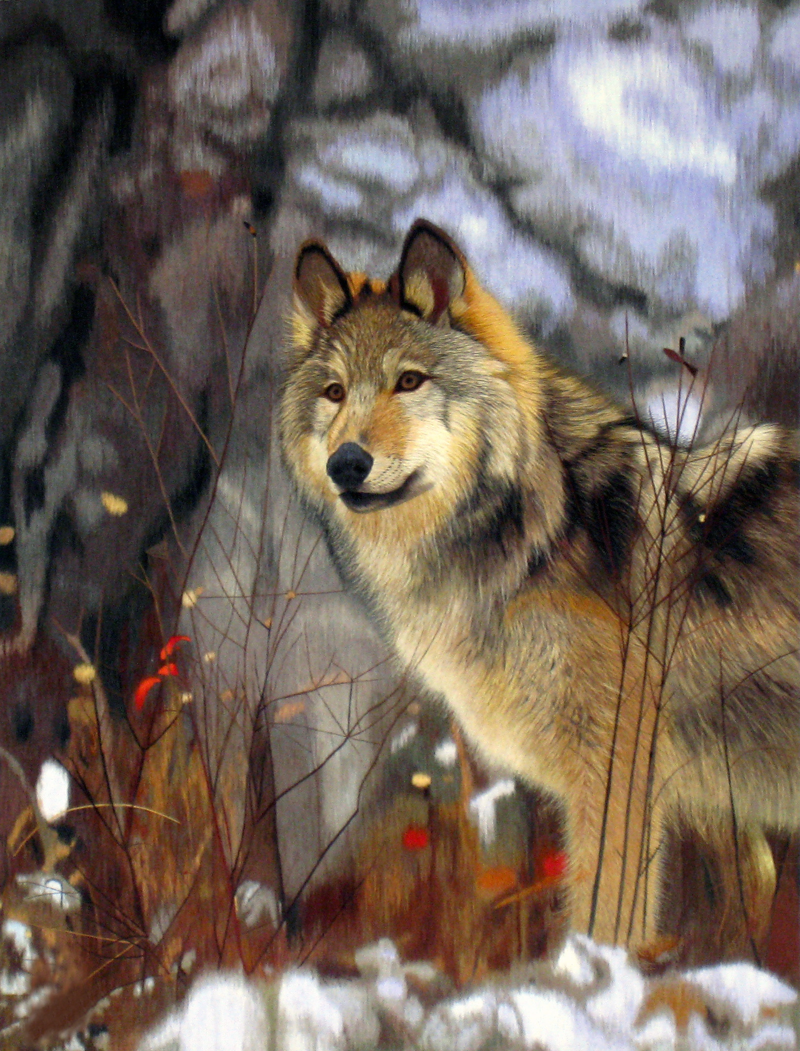 74026 Wolf in Winter