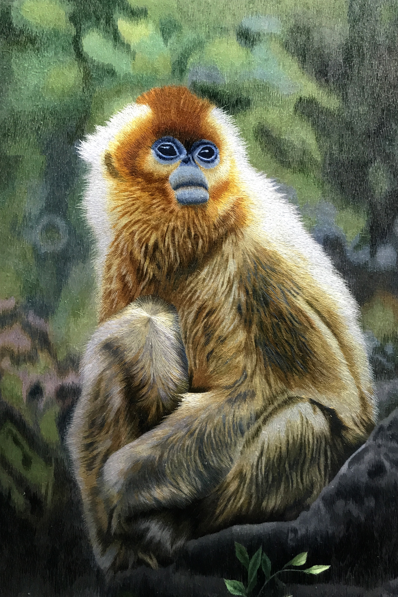 74043 Monkey