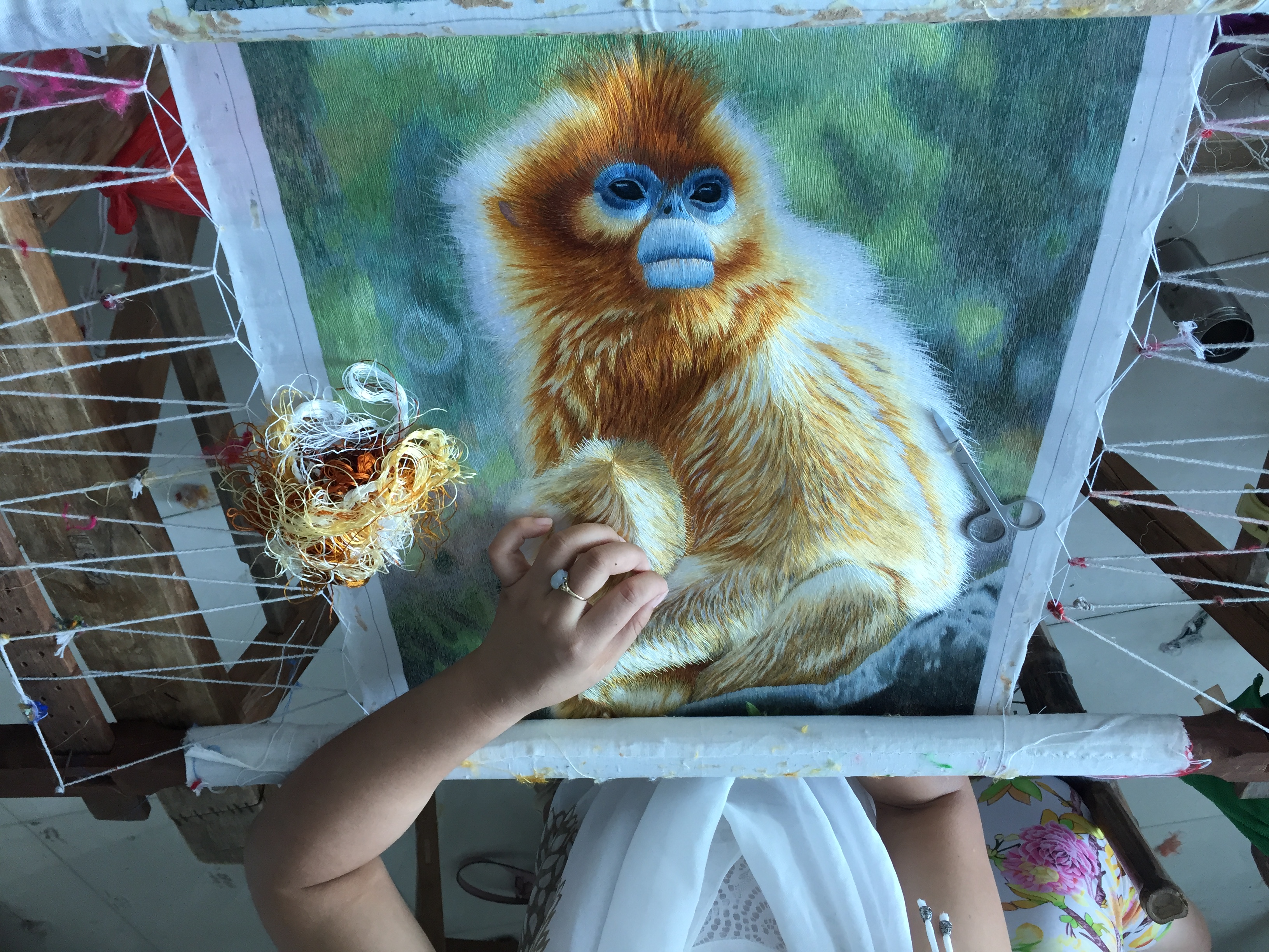 74043 Monkey - Image 2