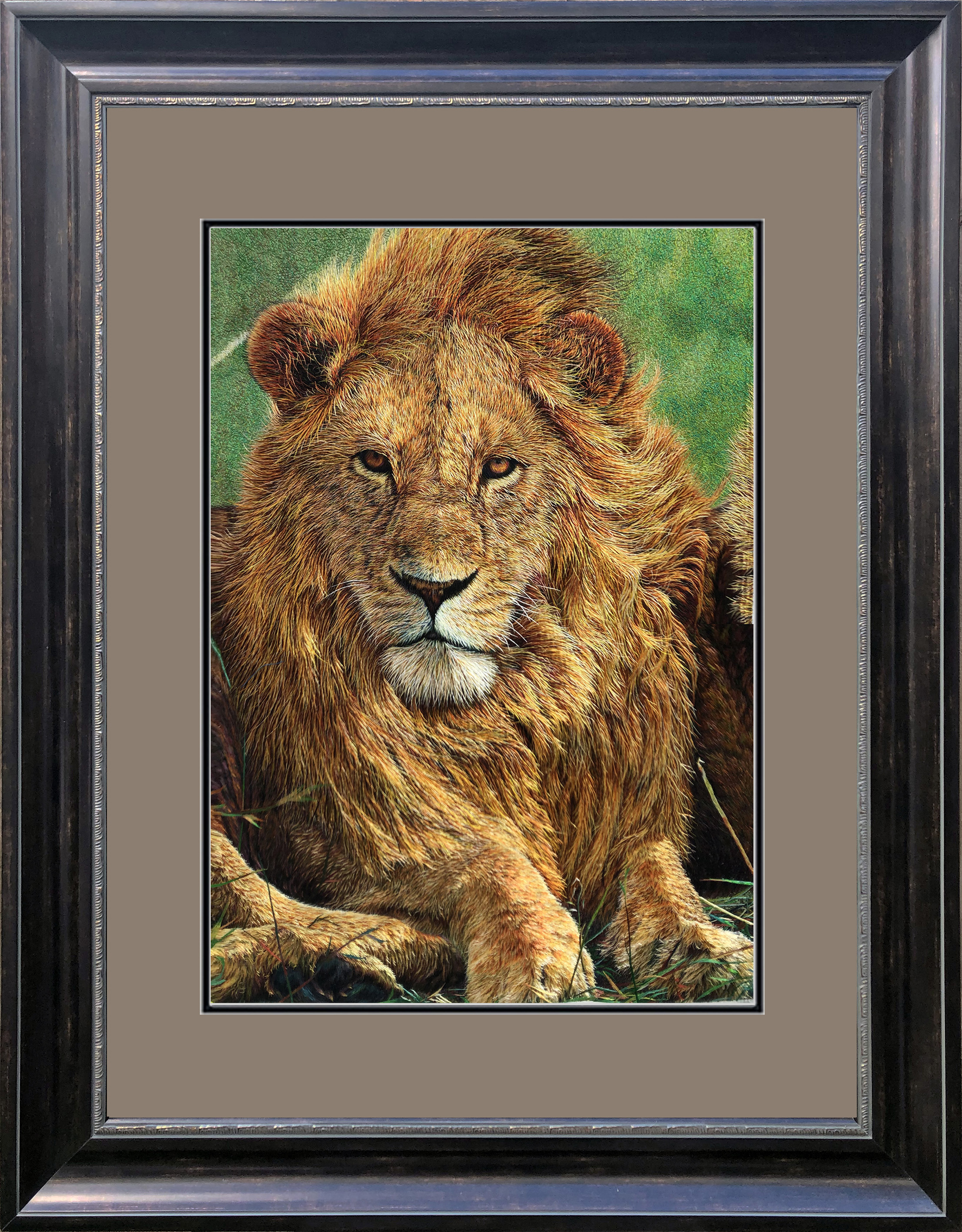 74074 Africa Lion - Image 3