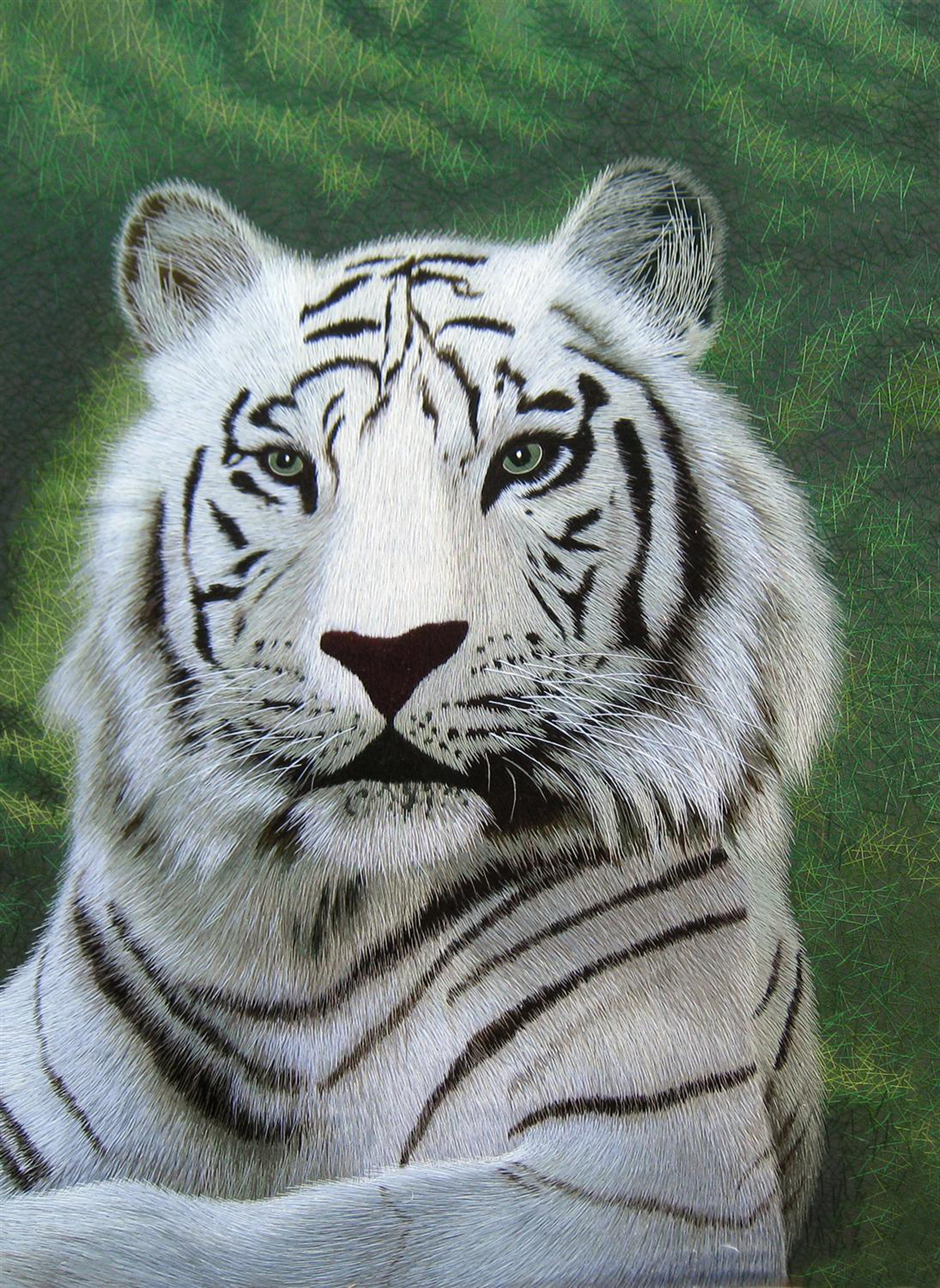 740769 White Tiger with Green Background