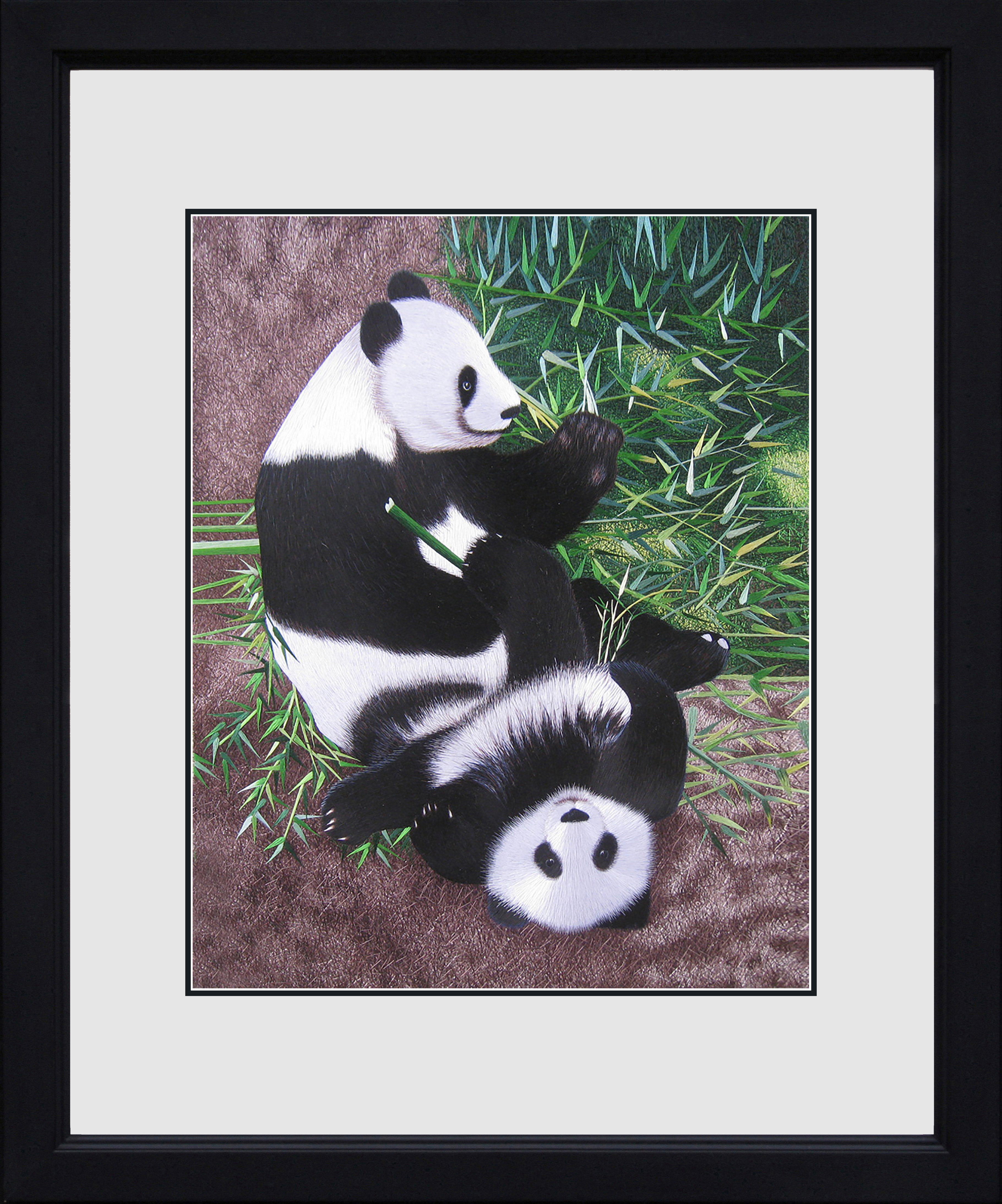 74112 Two Pandas Sitting in Bamboo - Image 3