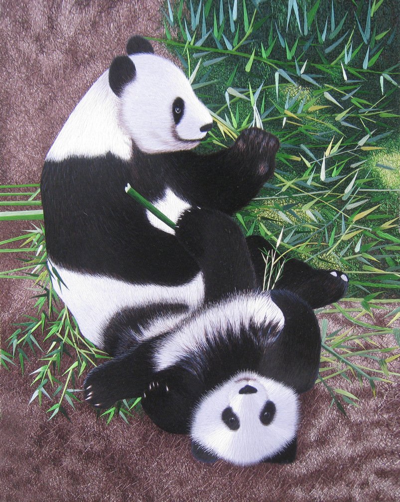 74112 Two Pandas Sitting in Bamboo