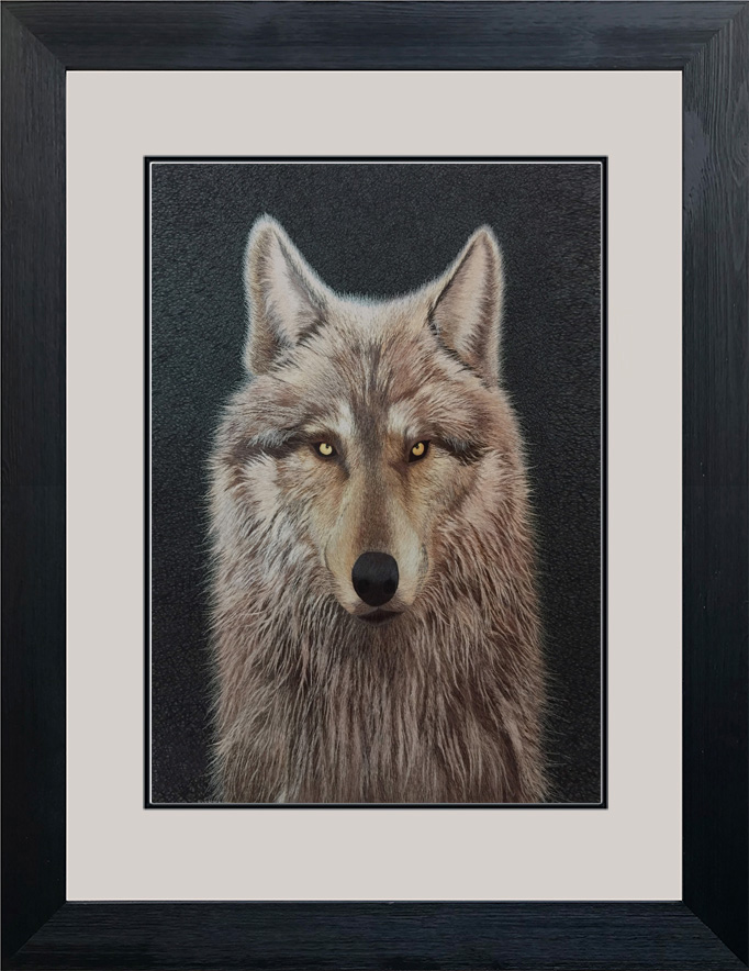 74126 Portrait of Wolf - Image 2